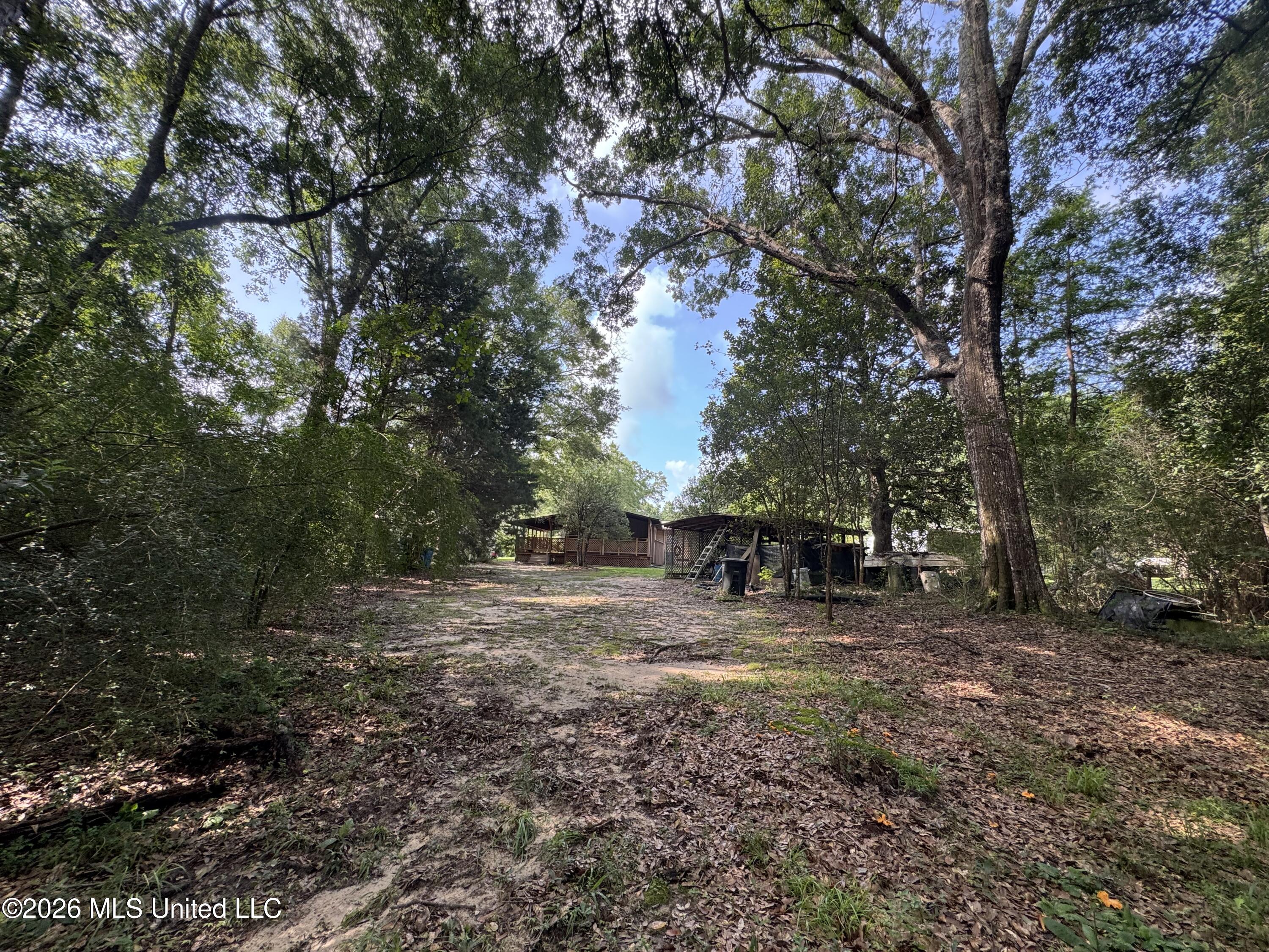 2980 Dwyer Branch Road Property Photo 15