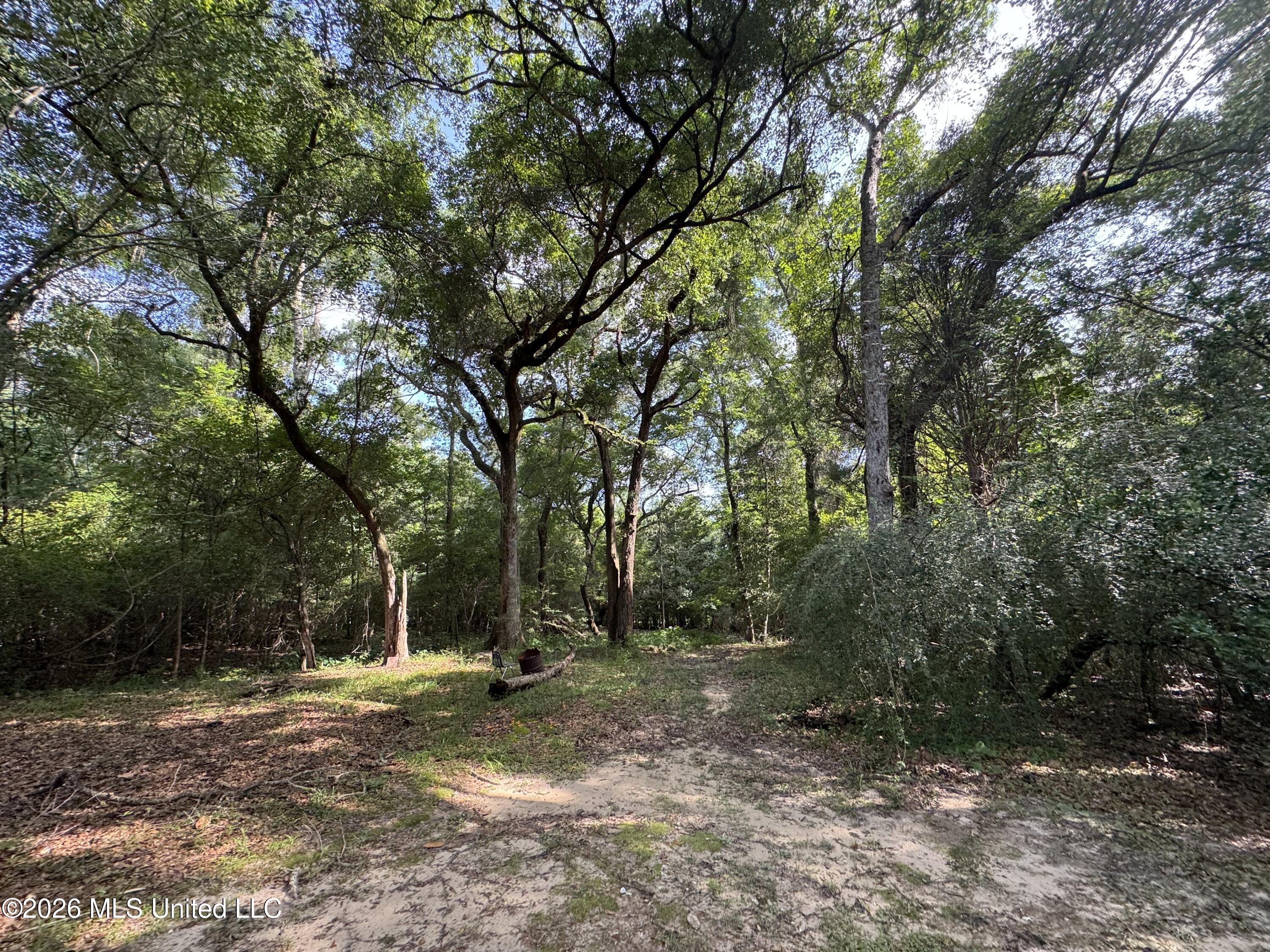 2980 Dwyer Branch Road Property Photo 16