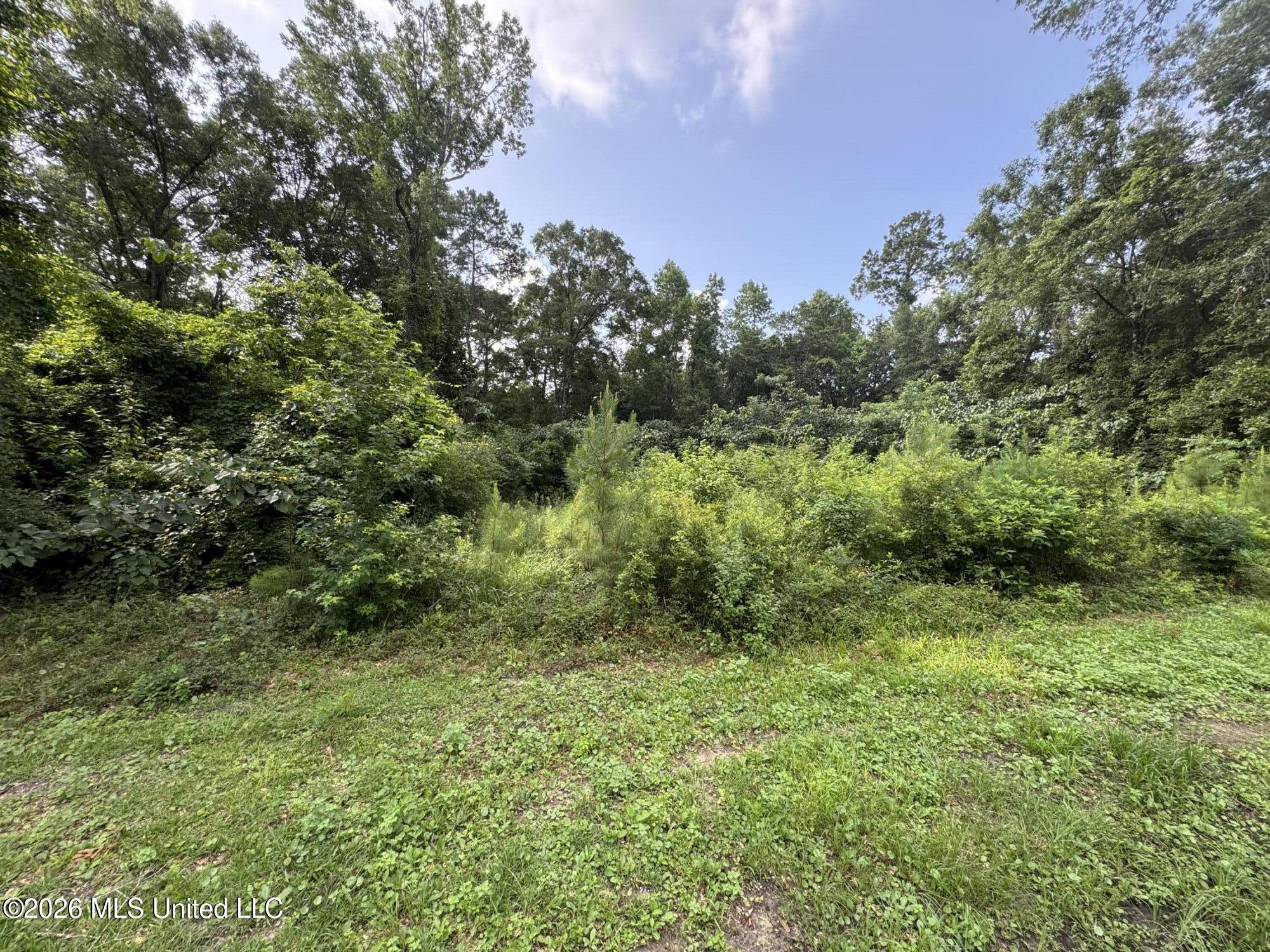 2980 Dwyer Branch Road Property Photo 30