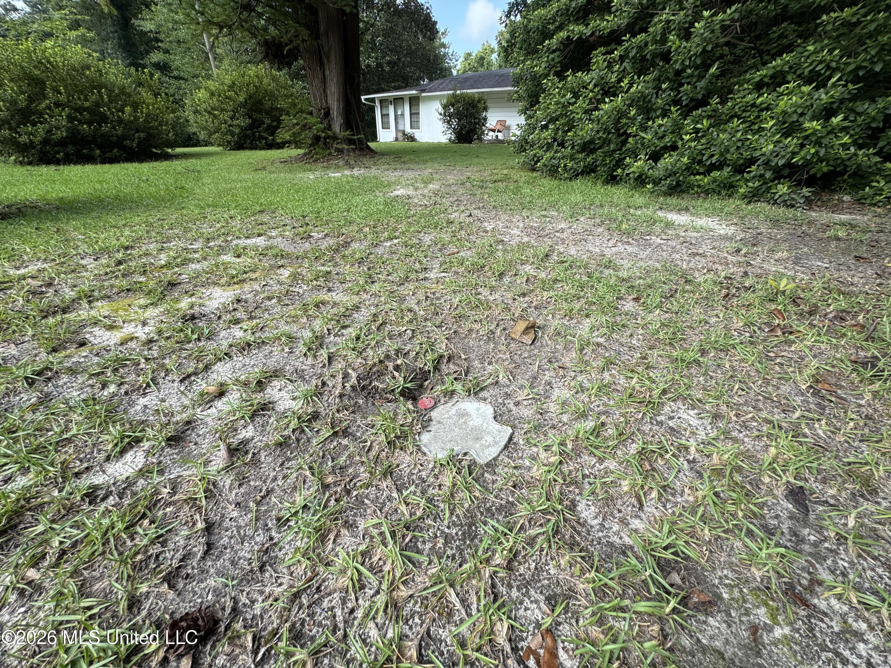 2980 Dwyer Branch Road Property Photo 33