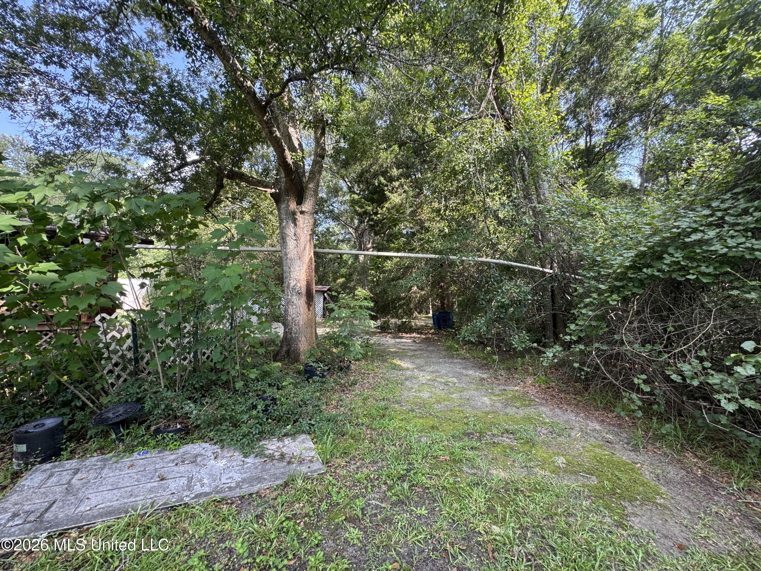 2980 Dwyer Branch Road Property Photo 51