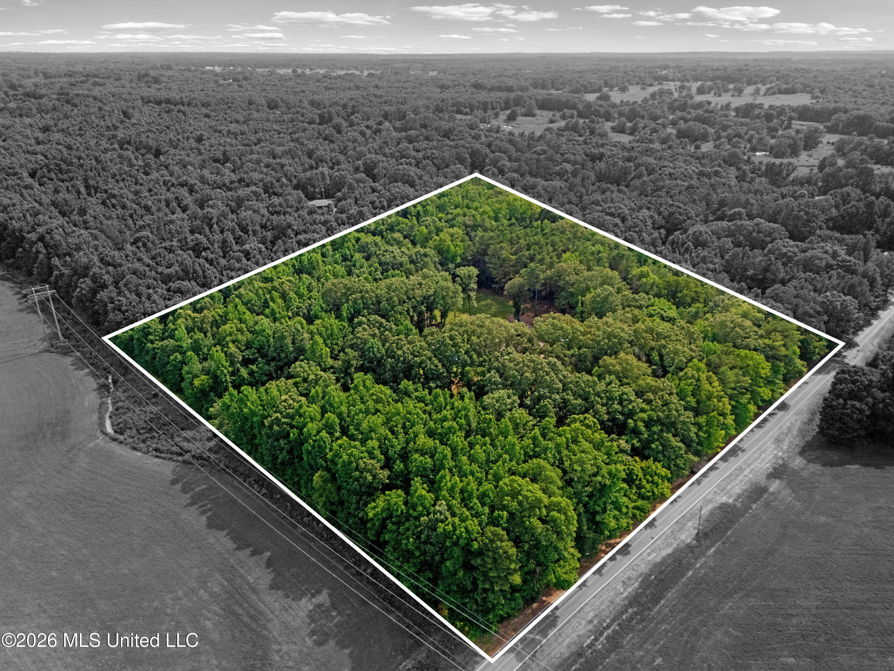 8301 Browns Ferry Road Property Photo 13