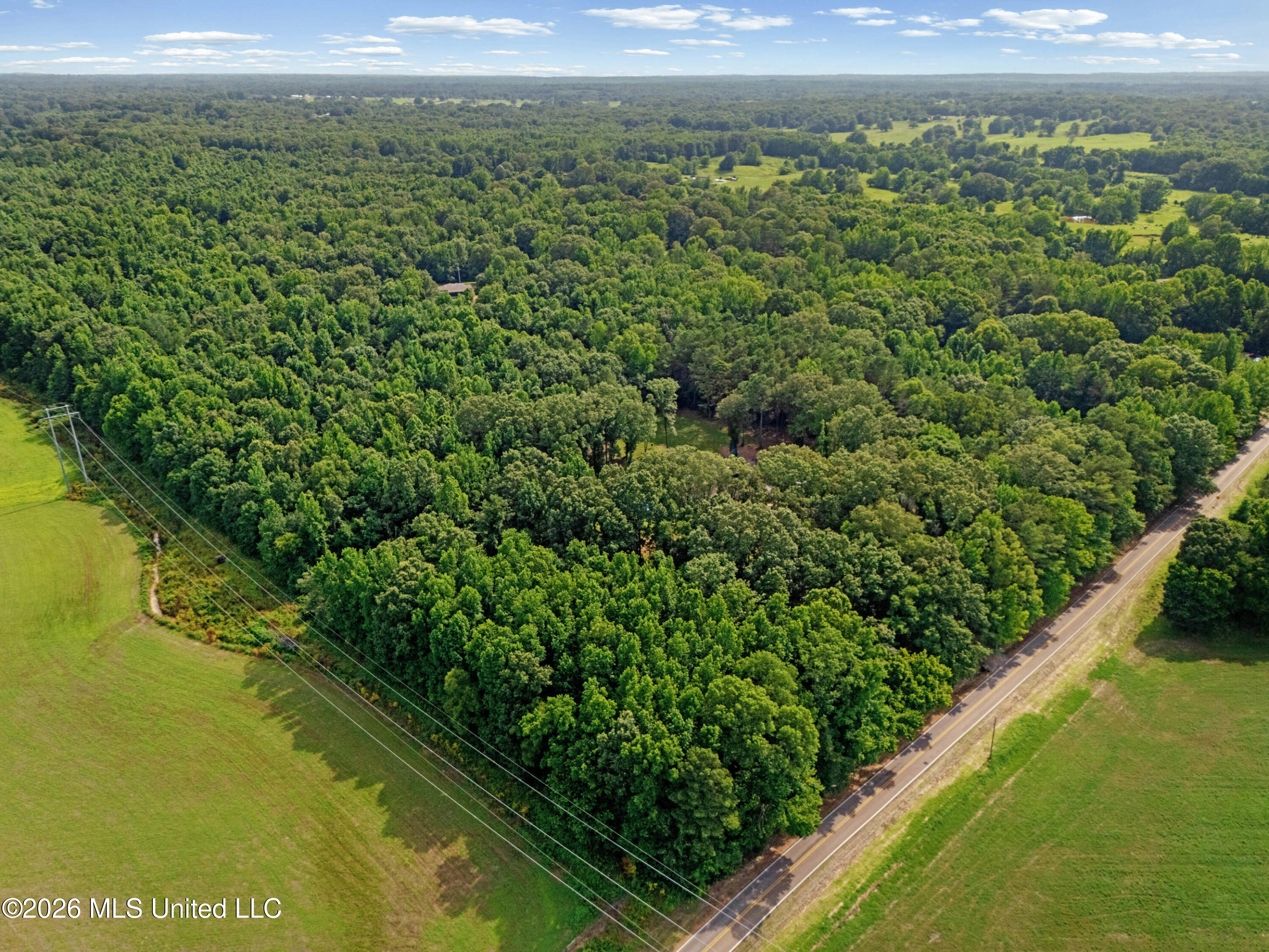 8301 Browns Ferry Road Property Photo 14