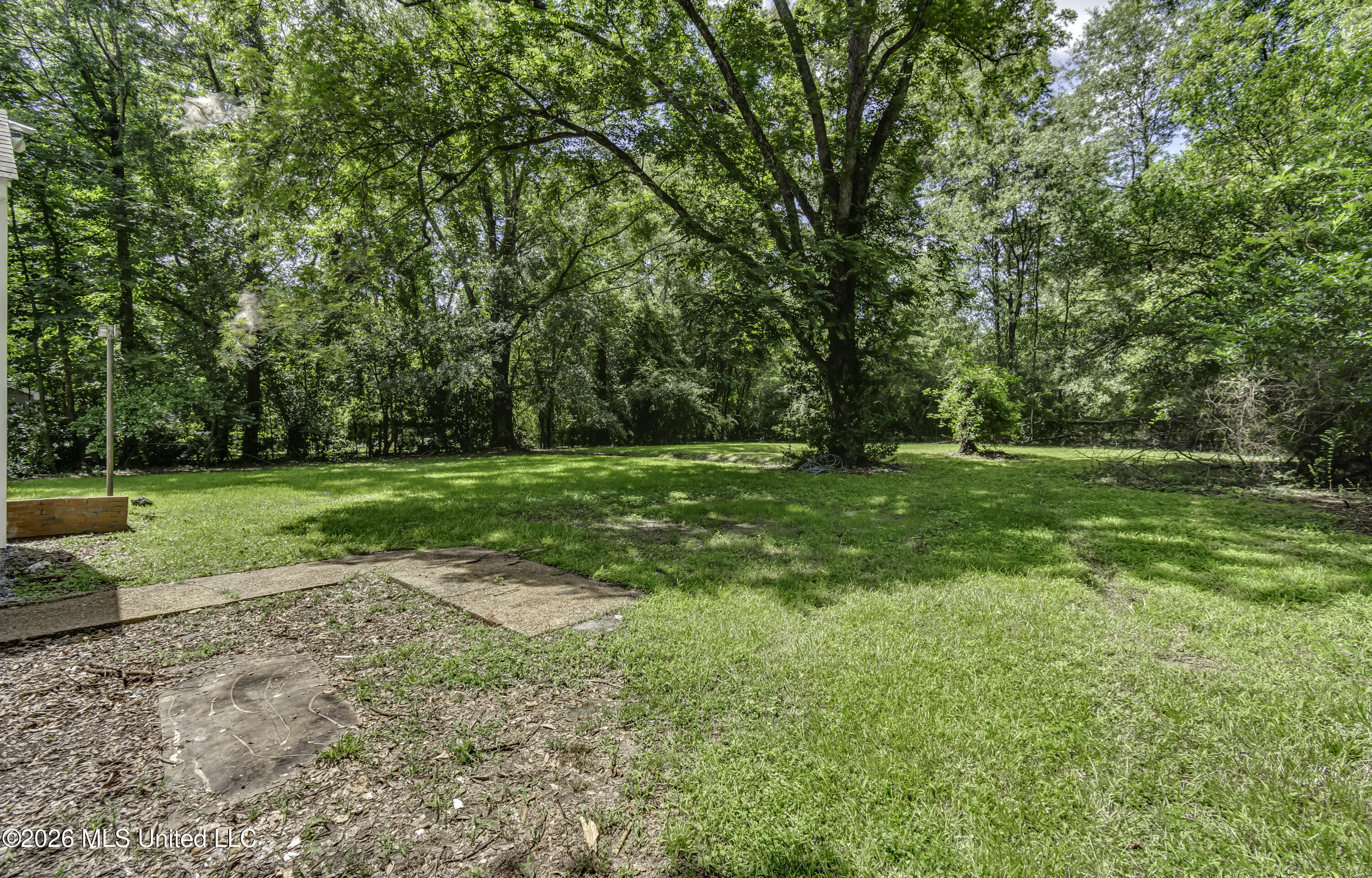 314 Hanging Moss Circle Property Photo 5