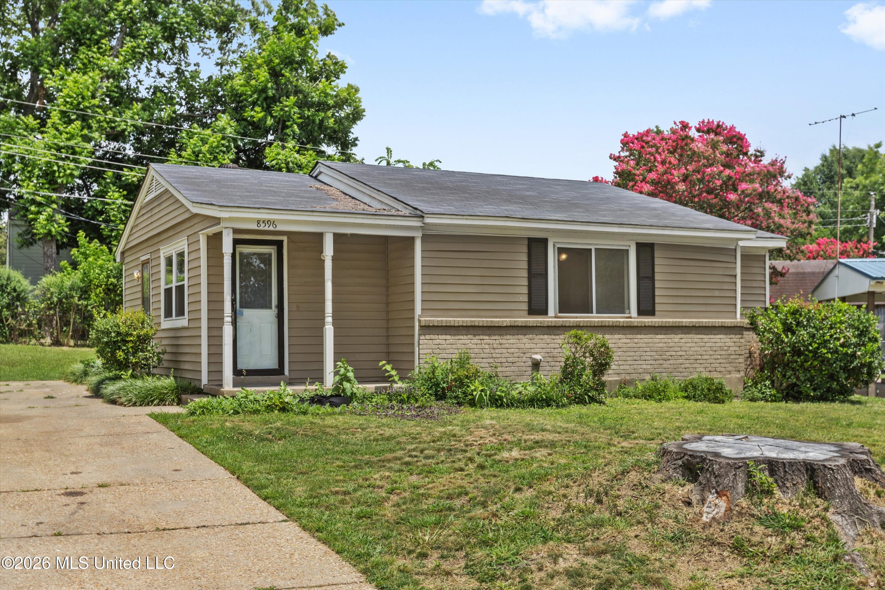 8596 Kinard Cove Property Photo 2