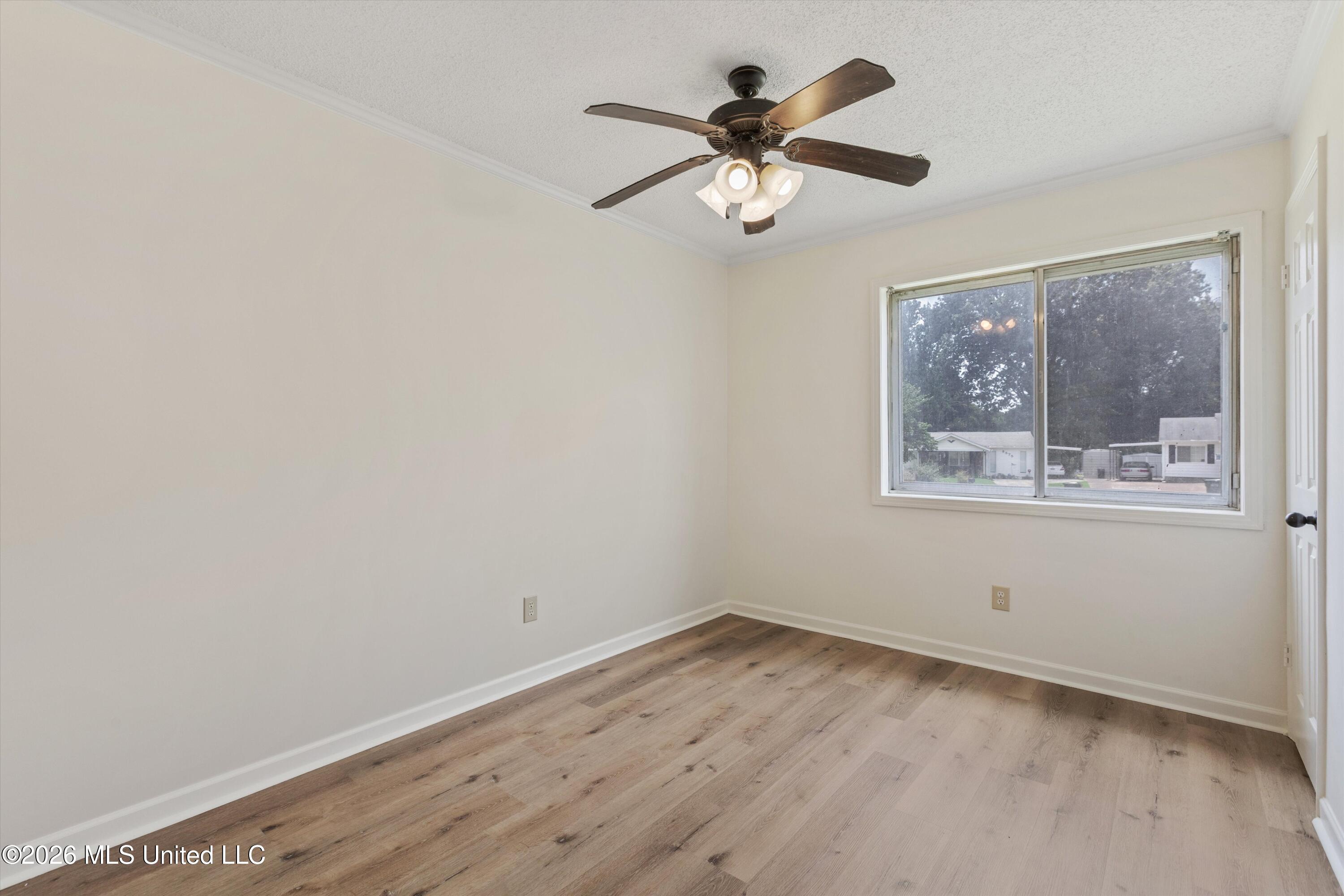 8596 Kinard Cove Property Photo 11