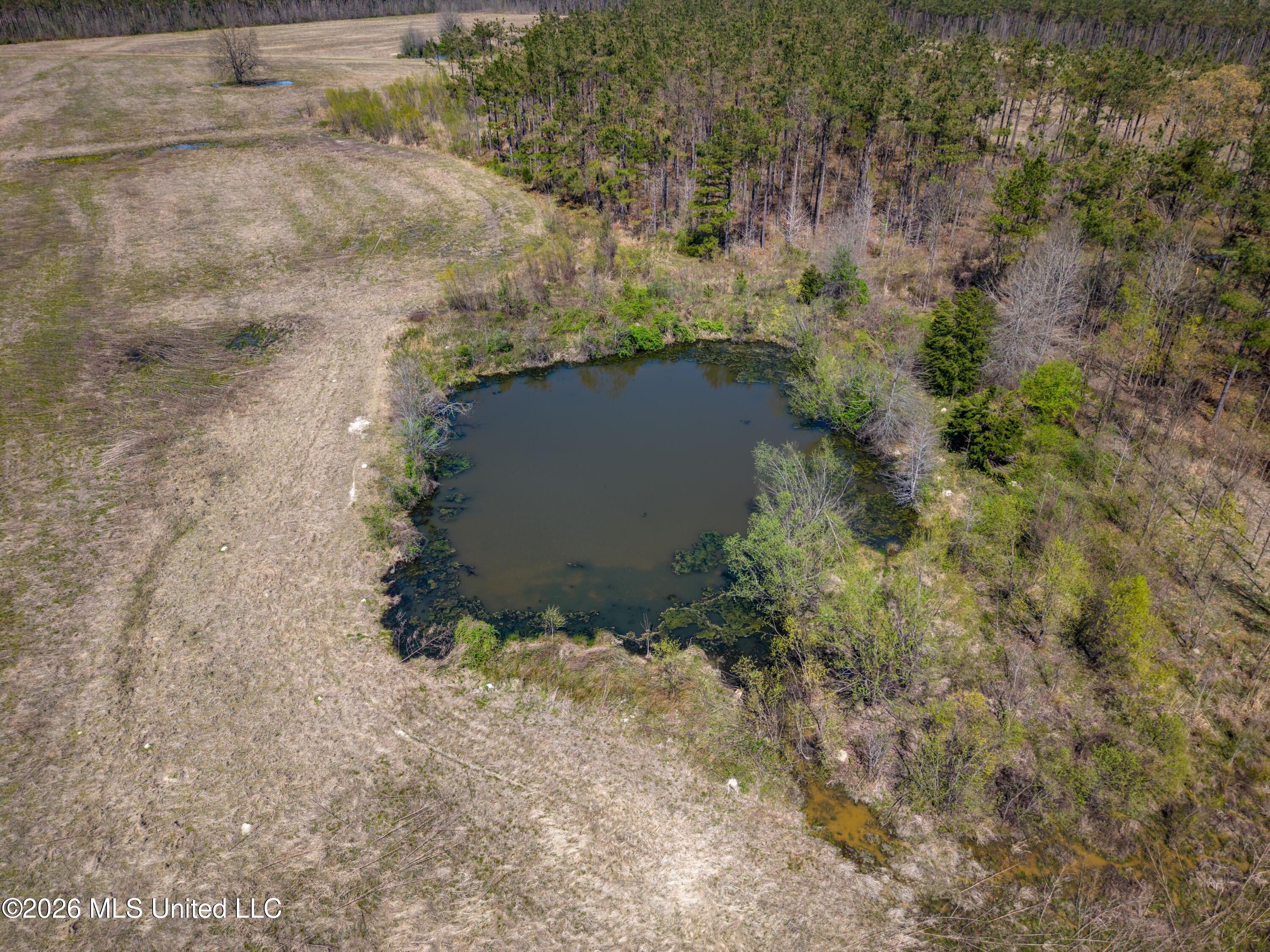 Wise Bend Road Property Photo 4