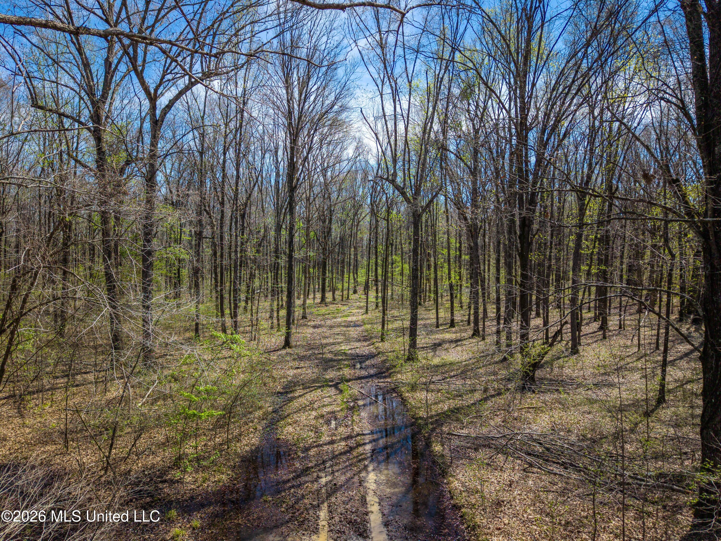 Wise Bend Road Property Photo 5