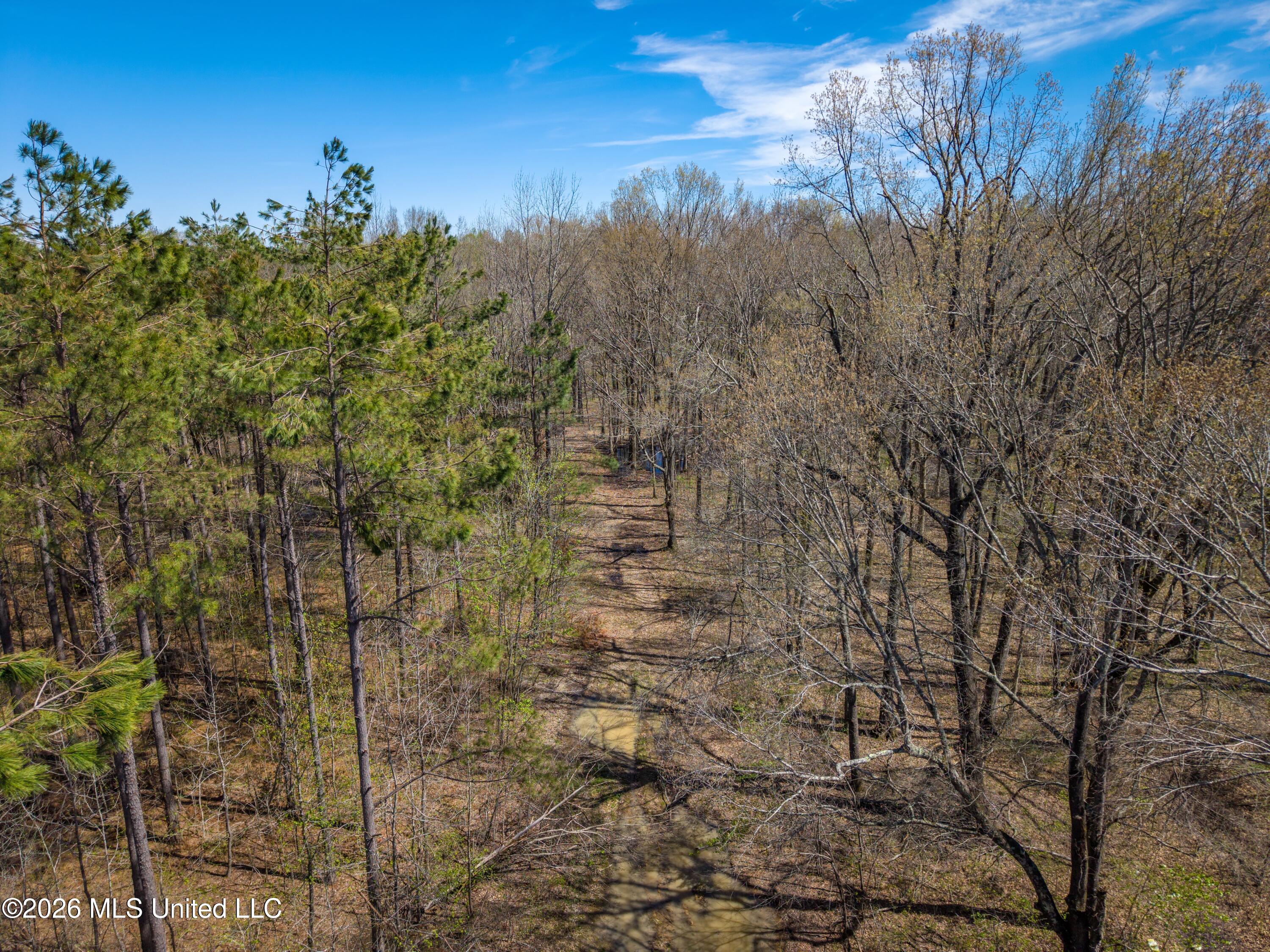 Wise Bend Road Property Photo 6