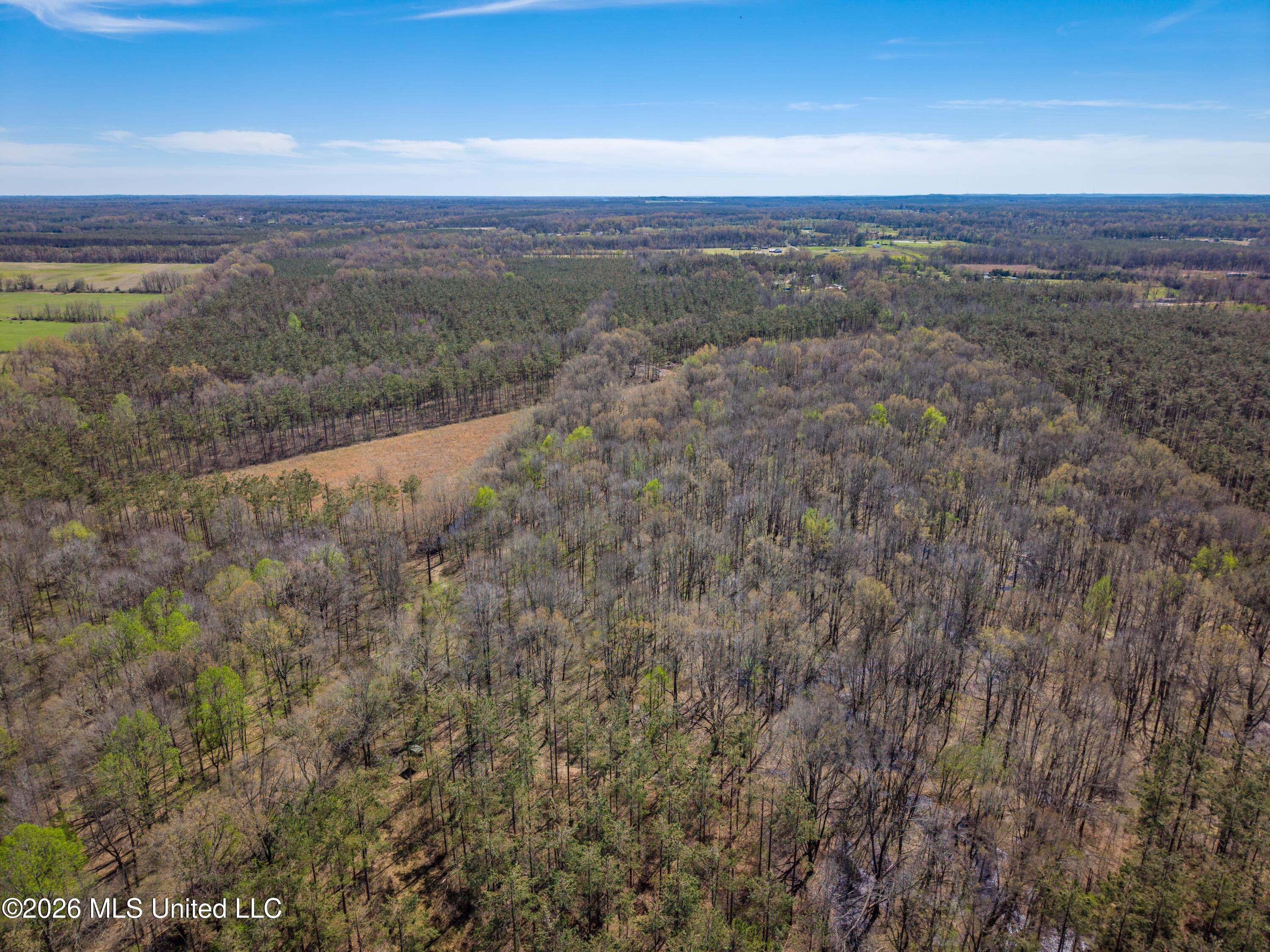 Wise Bend Road Property Photo 7