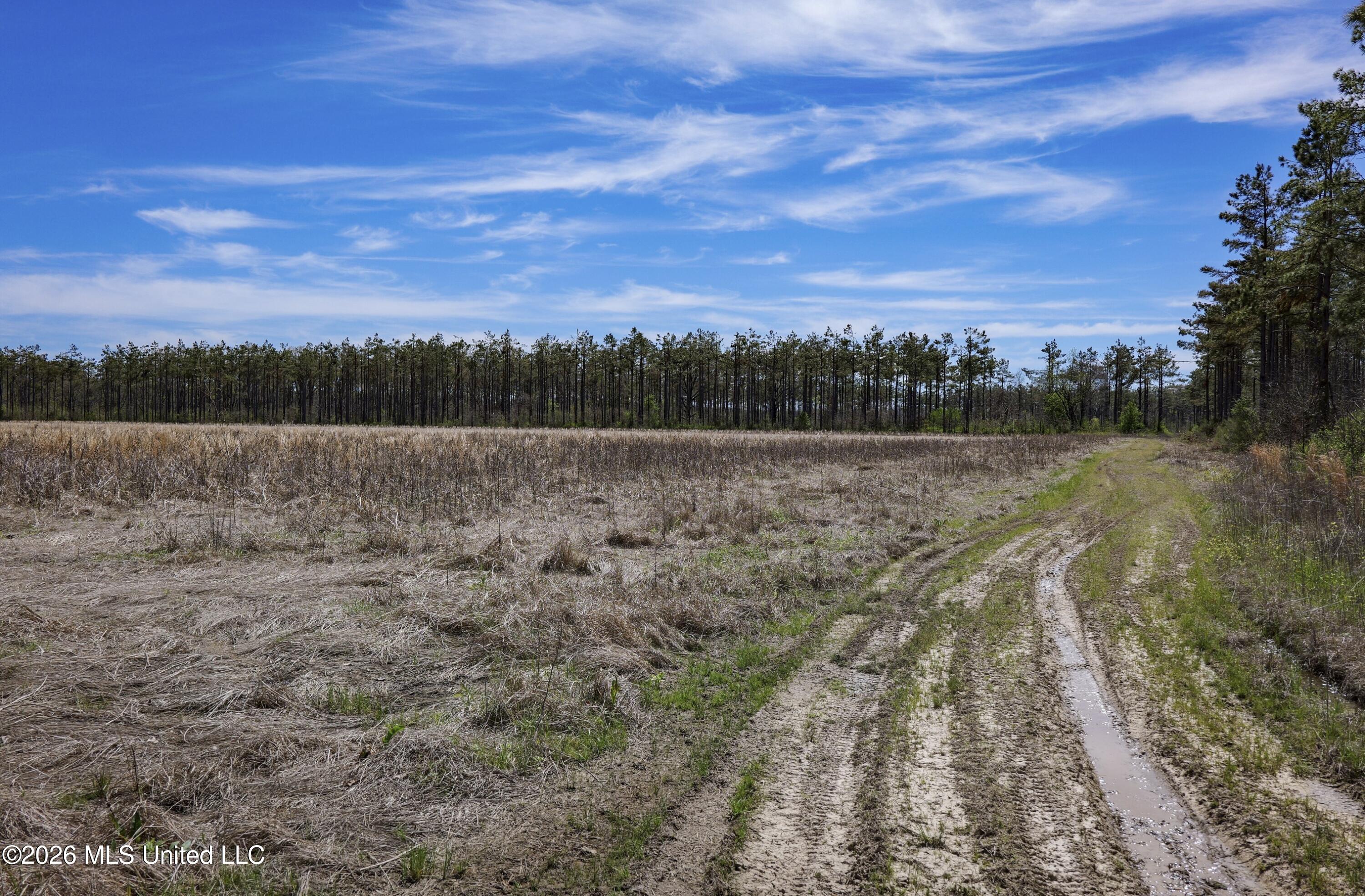 Wise Bend Road Property Photo 9