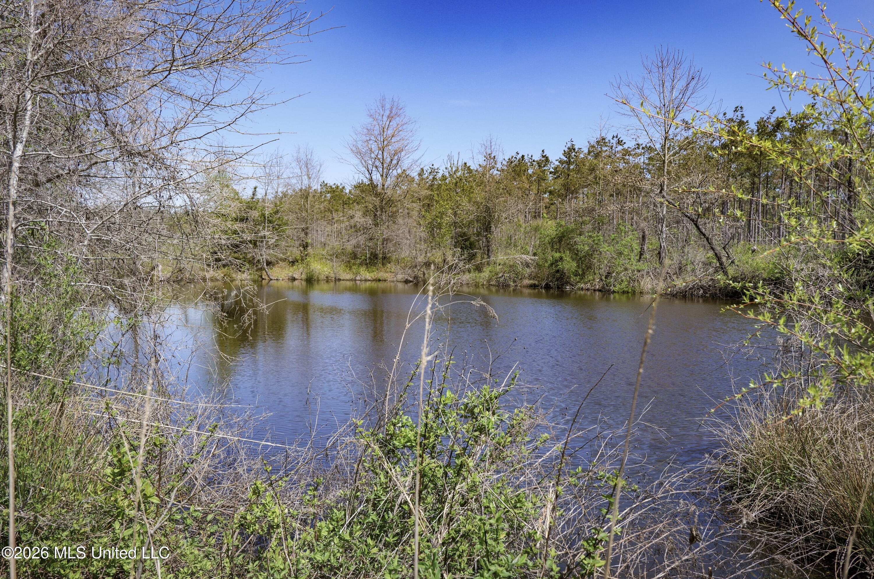 Wise Bend Road Property Photo 10