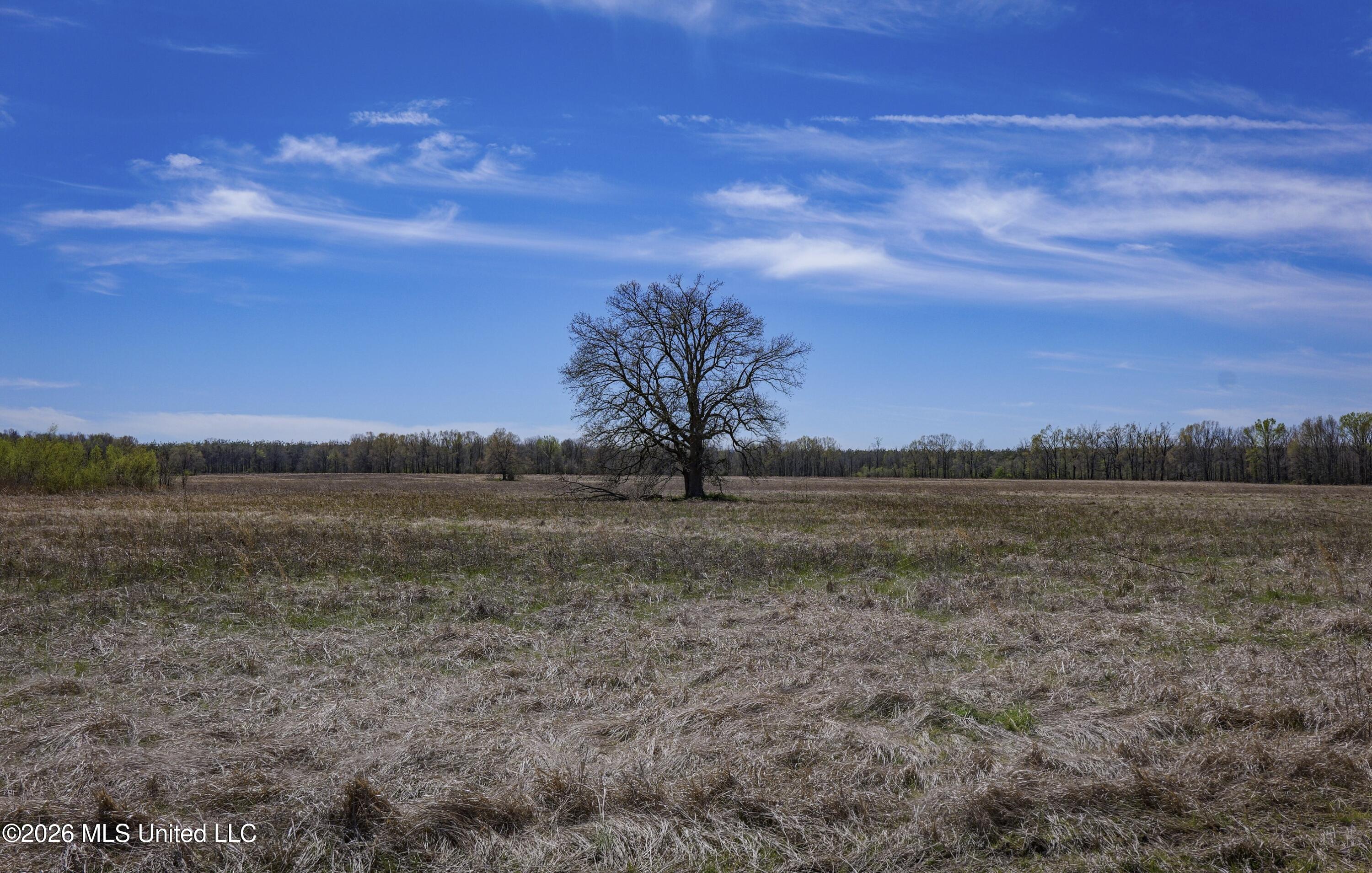 Wise Bend Road Property Photo 11