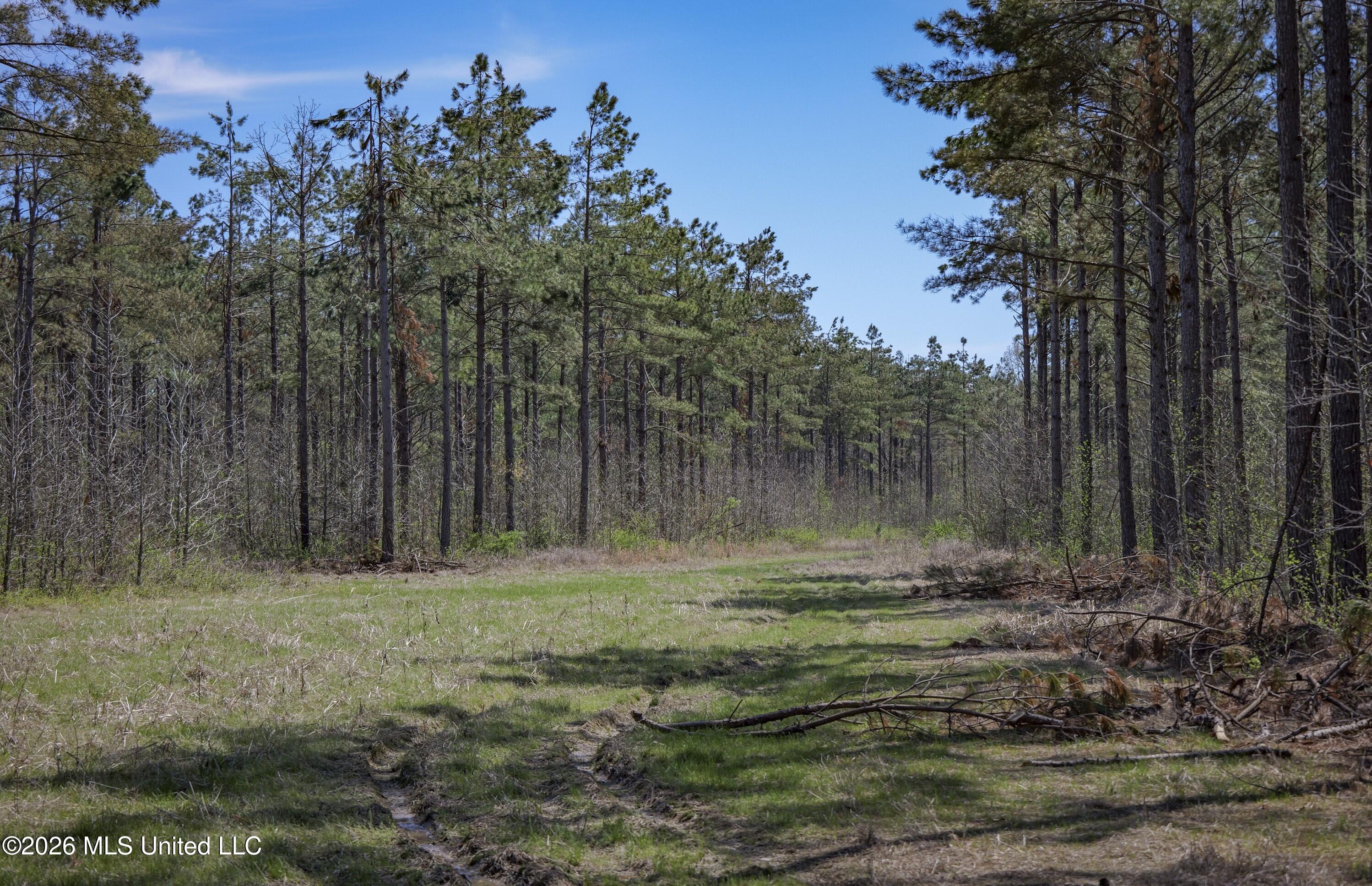 Wise Bend Road Property Photo 13