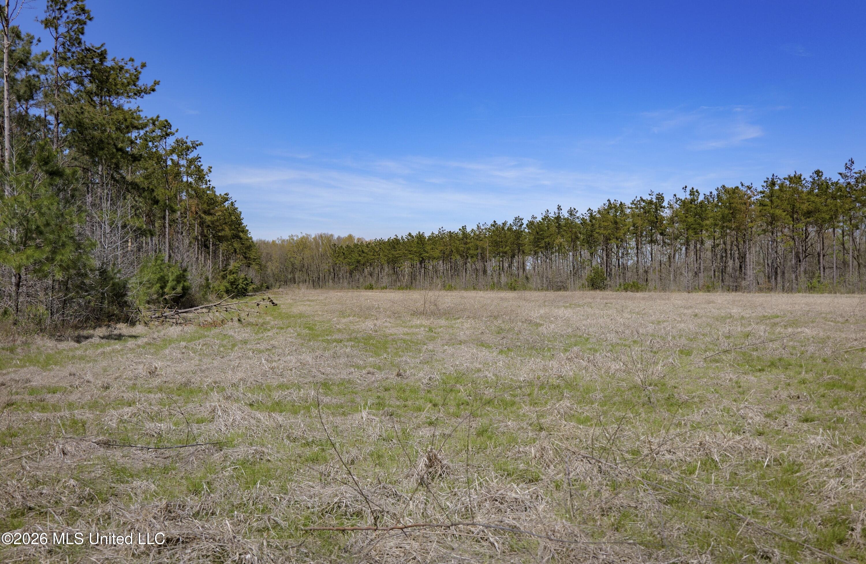 Wise Bend Road Property Photo 14
