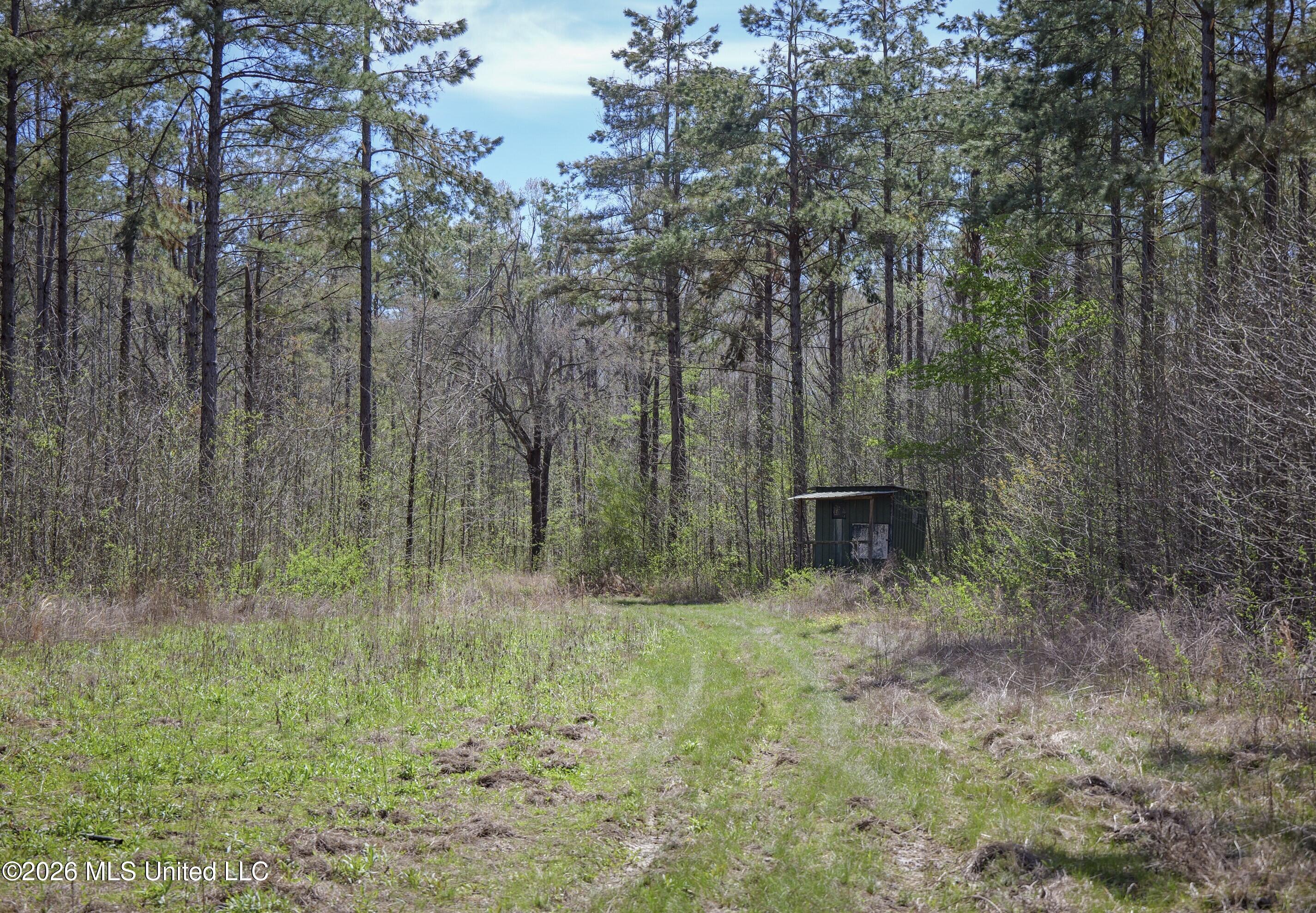 Wise Bend Road Property Photo 15