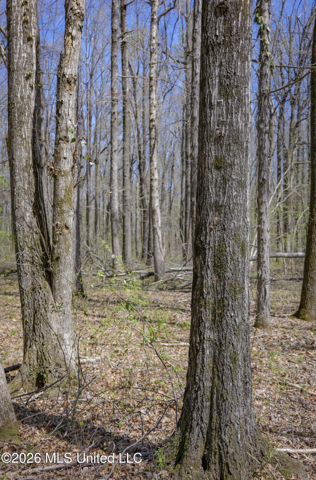 Wise Bend Road Property Photo 17