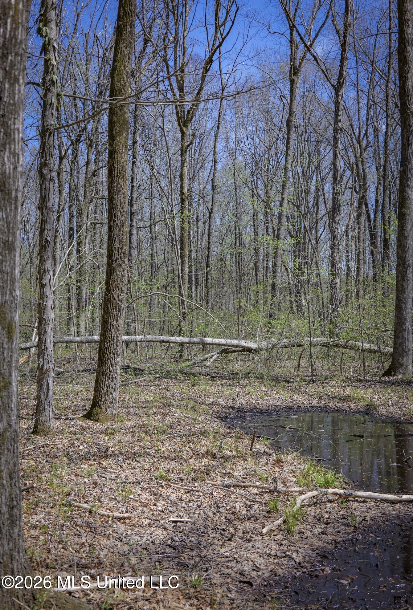 Wise Bend Road Property Photo 18