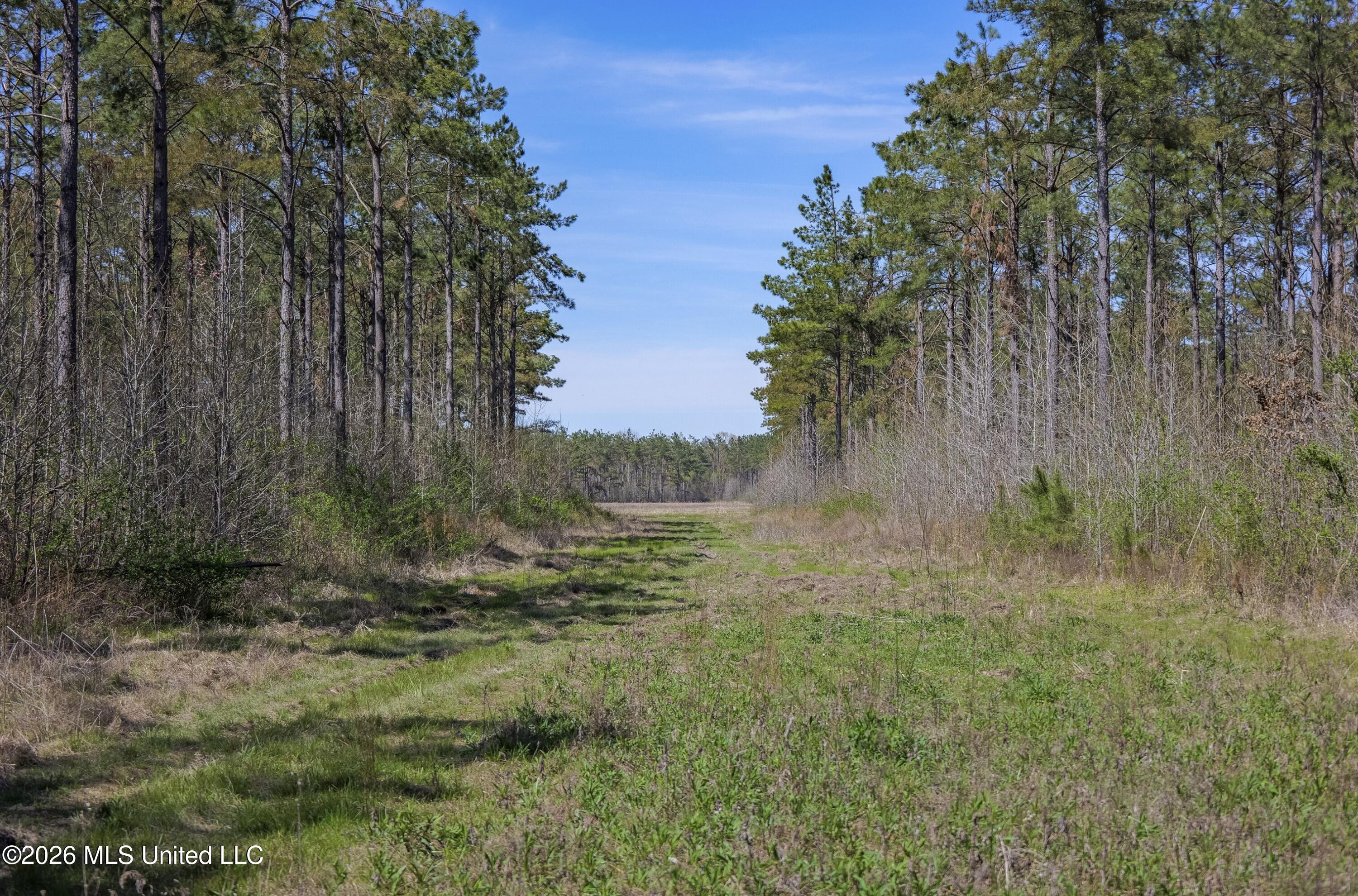 Wise Bend Road Property Photo 19