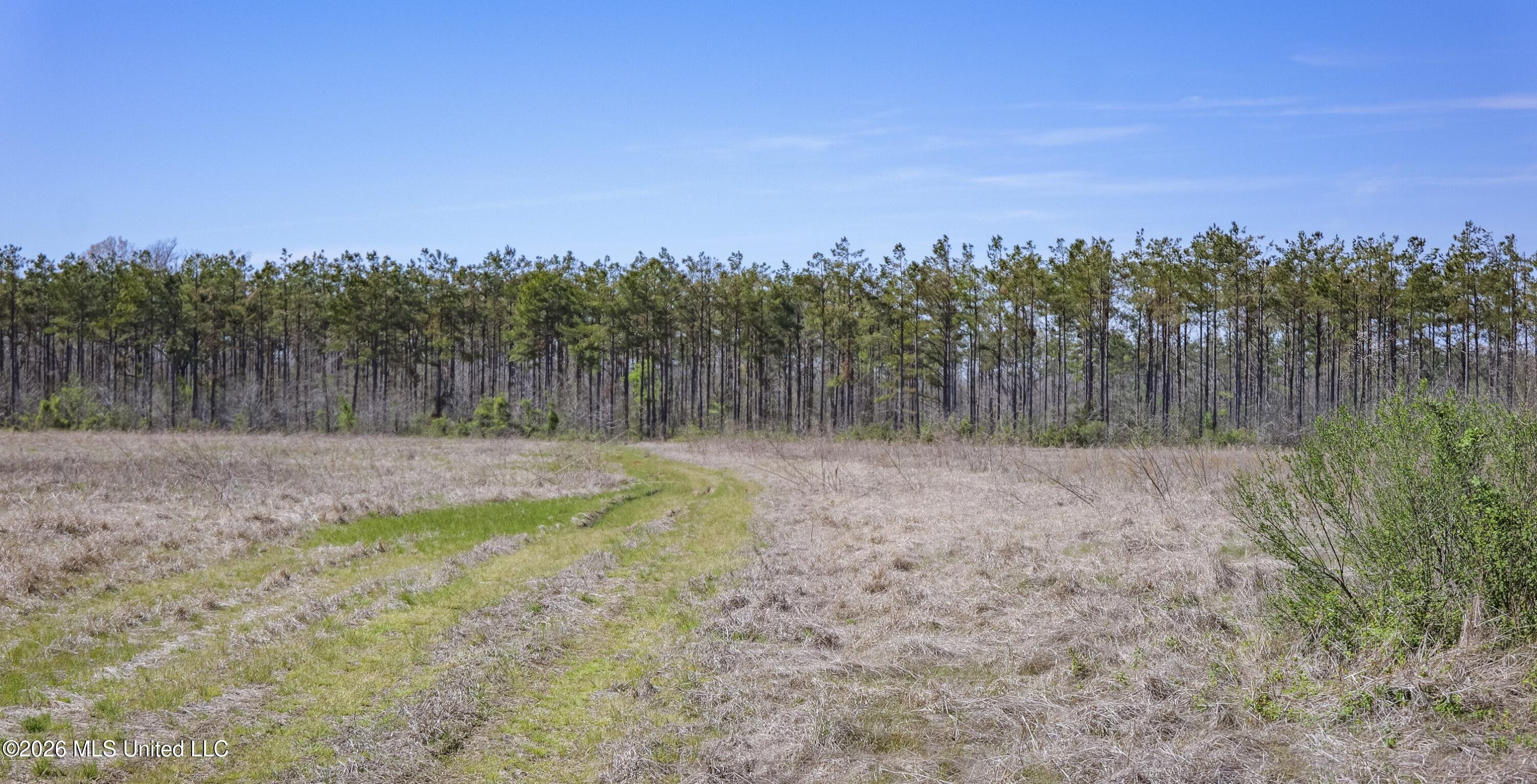 Wise Bend Road Property Photo 20