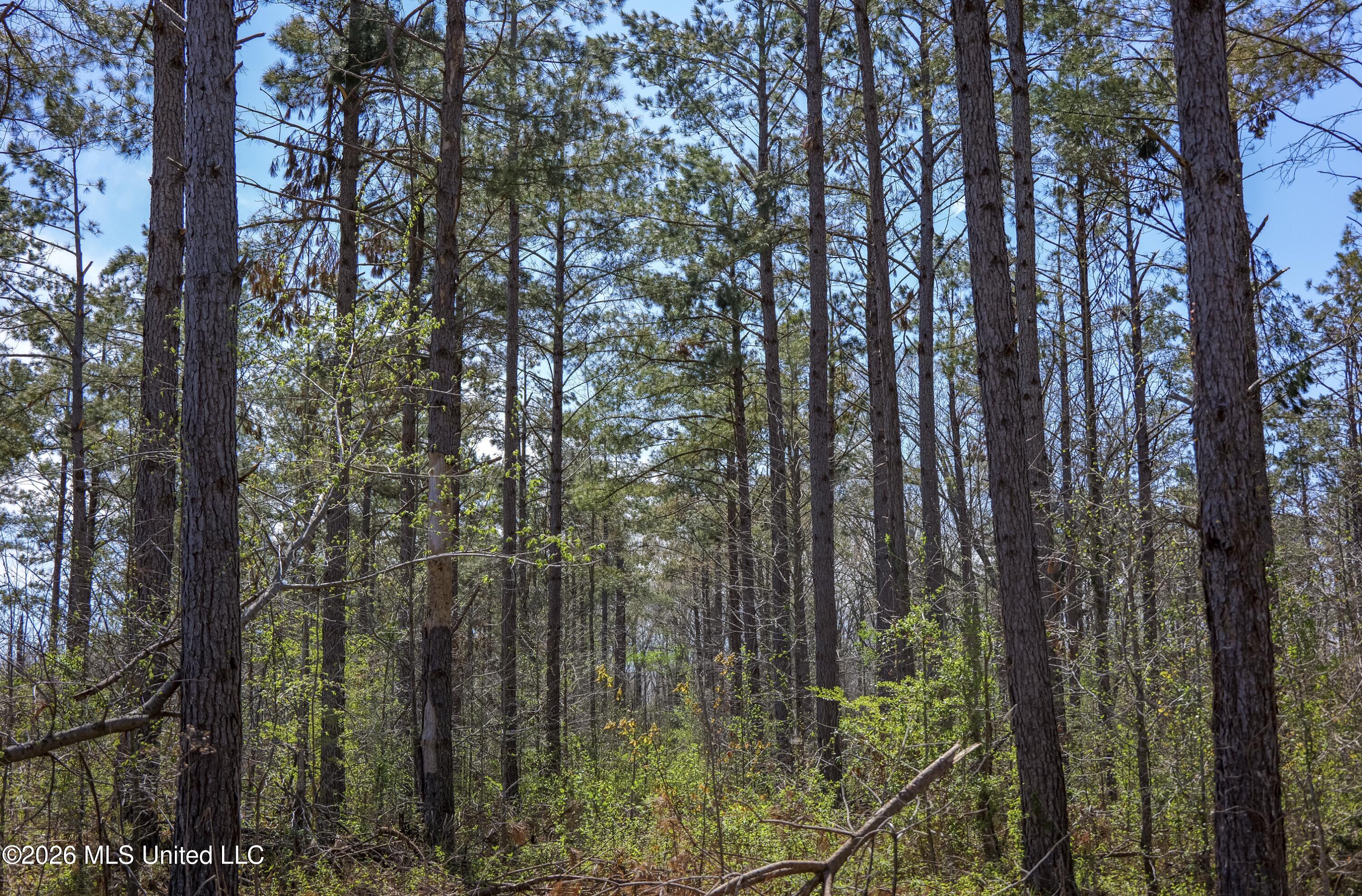 Wise Bend Road Property Photo 21