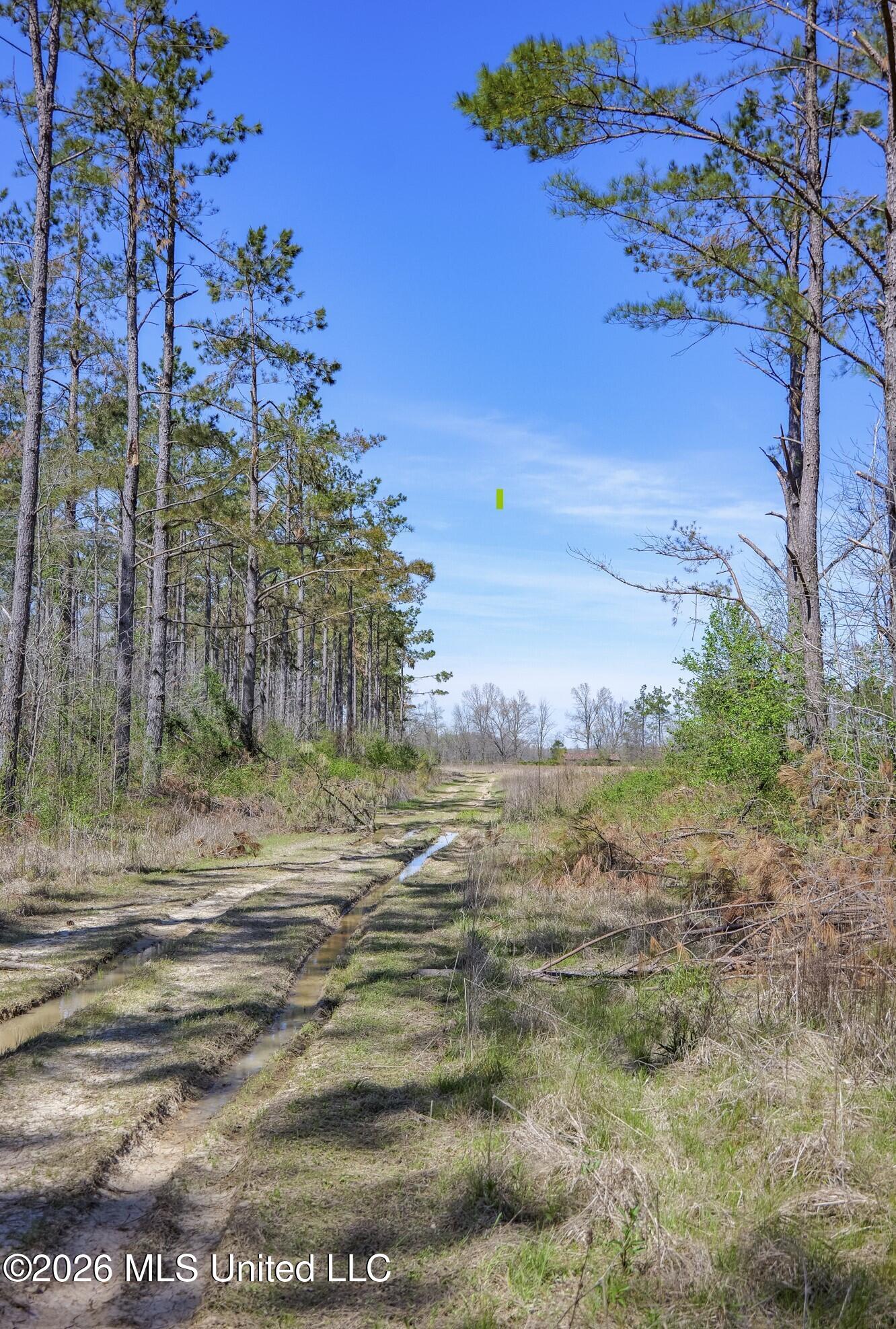 Wise Bend Road Property Photo 22