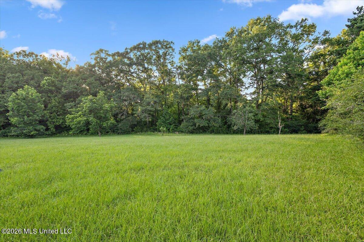 13195 Old Port Gibson Road Property Photo 38