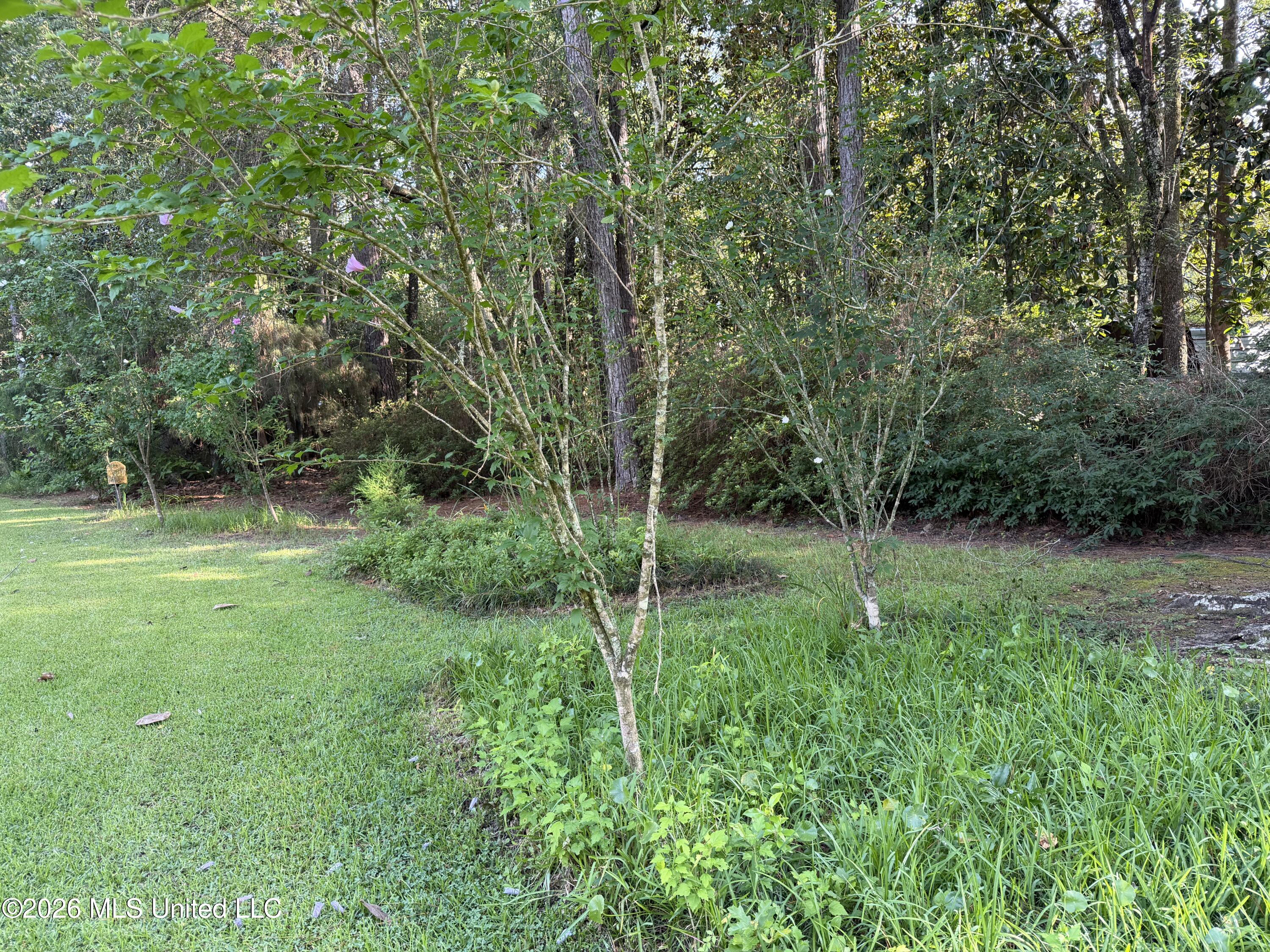 9141 Heather Lane Property Photo 55