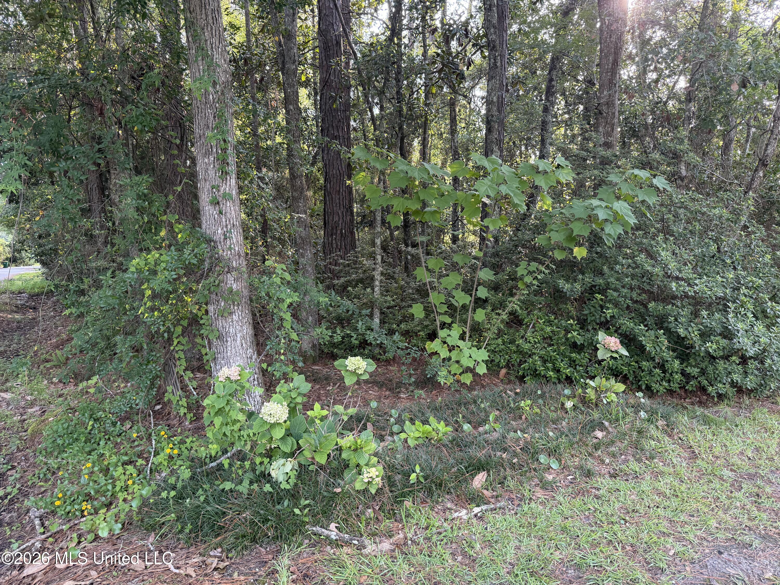9141 Heather Lane Property Photo 56