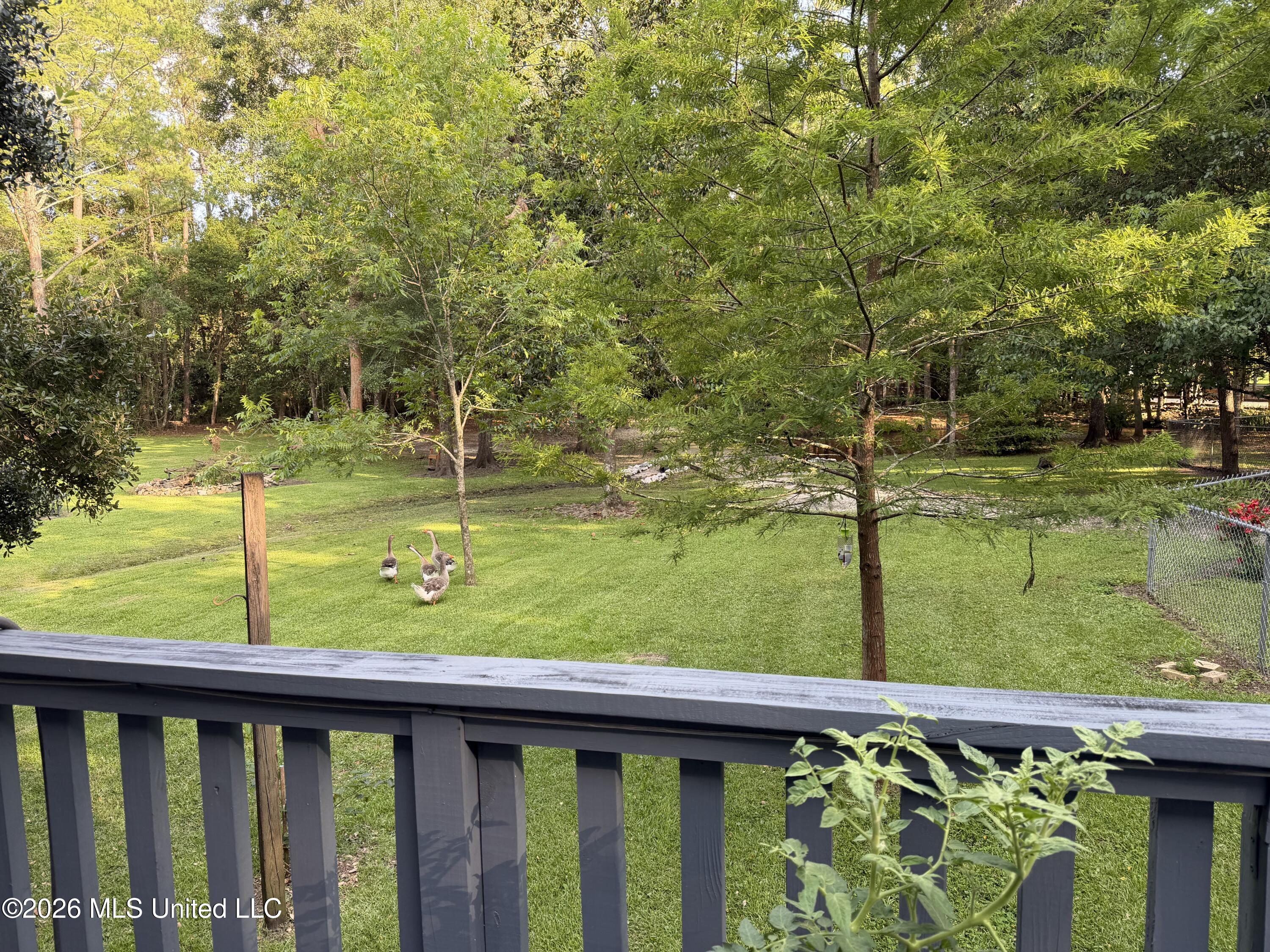 9141 Heather Lane Property Photo 65