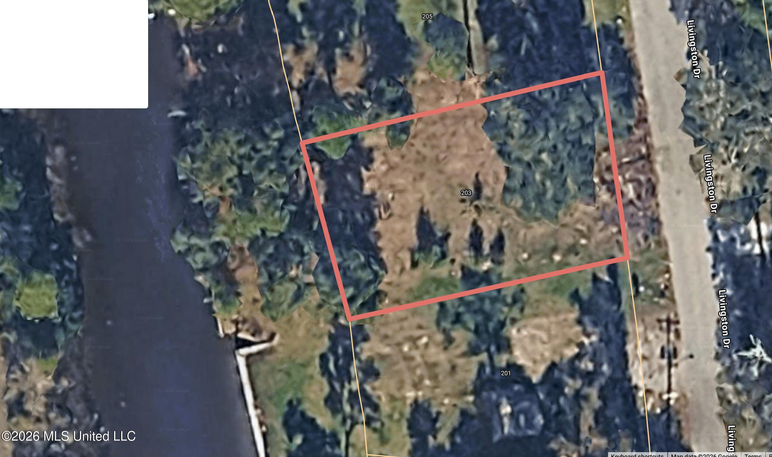 203 Livingston Drive Property Photo 4