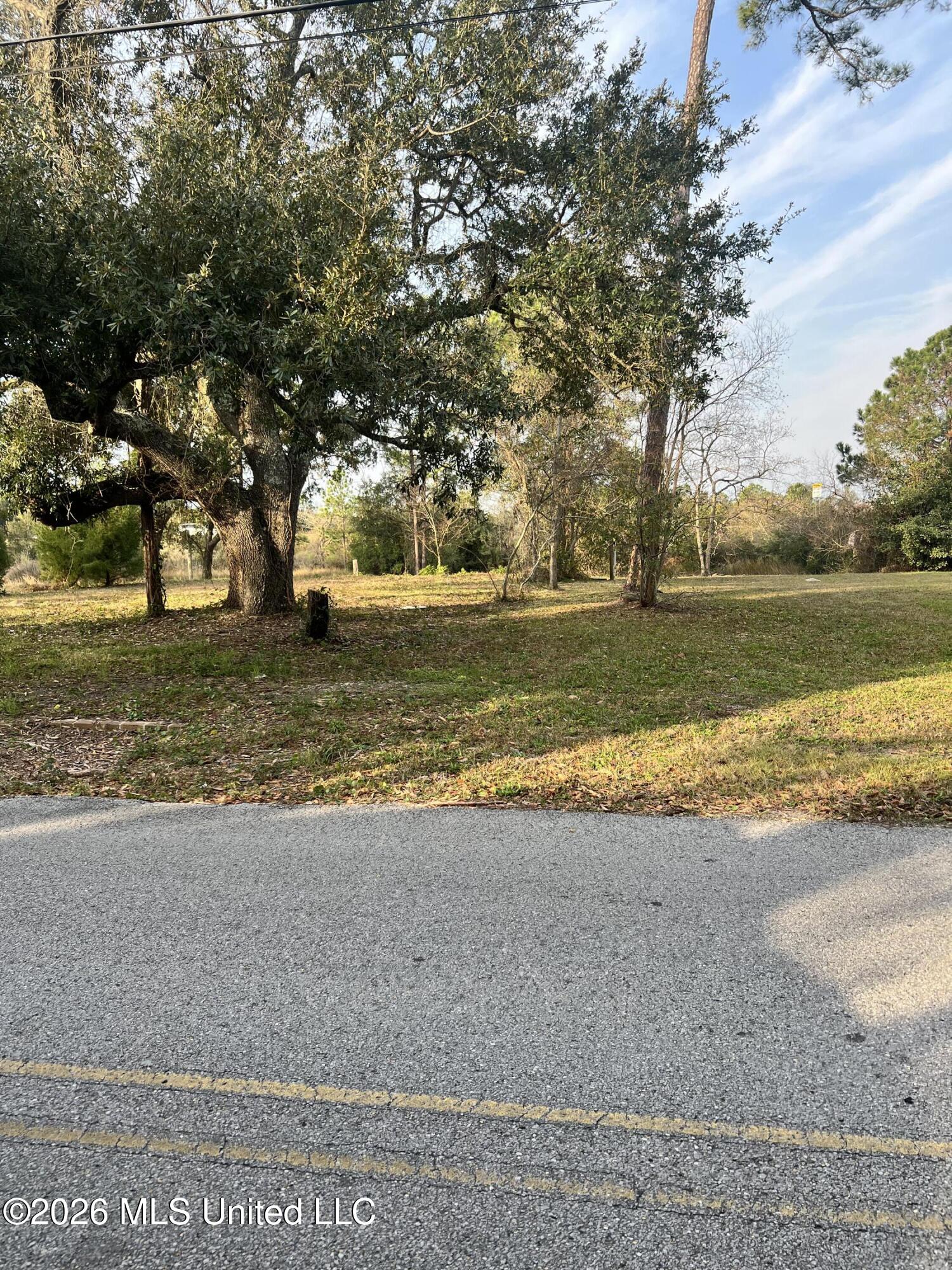 205 Livingston Drive Property Photo 1