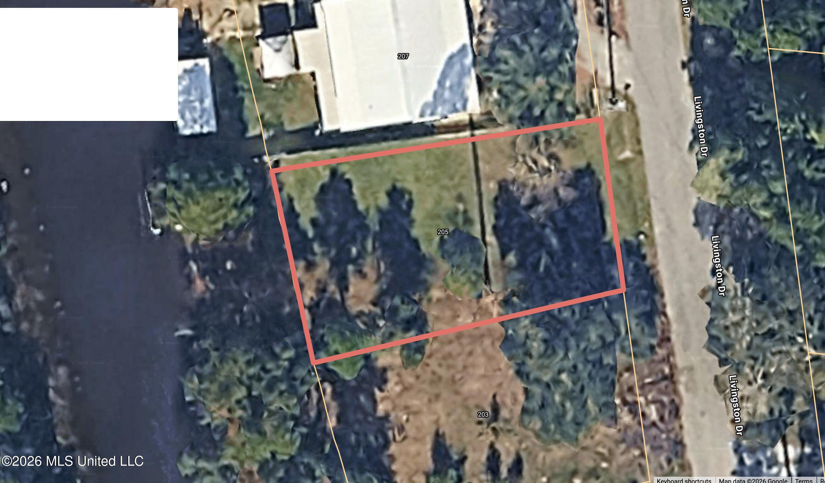 205 Livingston Drive Property Photo 4