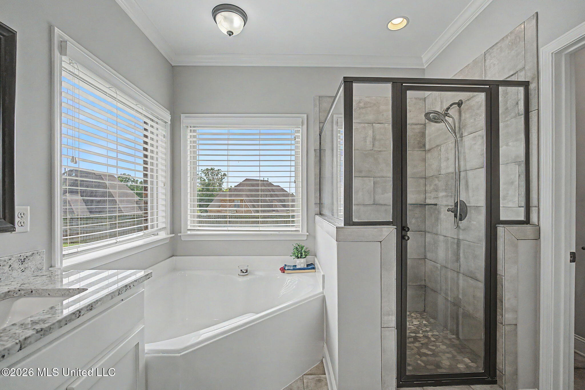3635 Williams Brooke Lane Property Photo 20