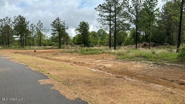 Bent Creek Property Photo 3