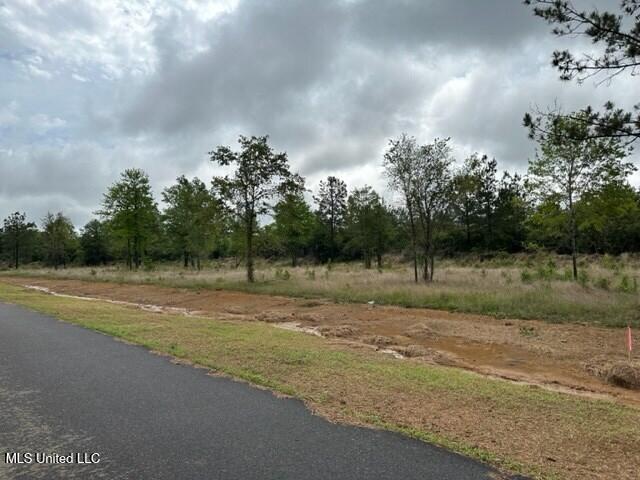 Bent Creek Property Photo 4