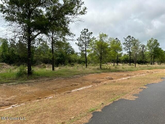Bent Creek Property Photo 6