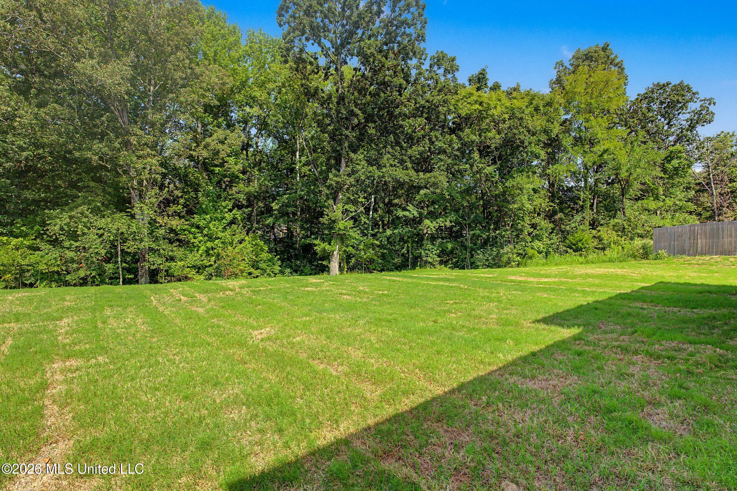 1683 Baisley Drive Property Photo 41