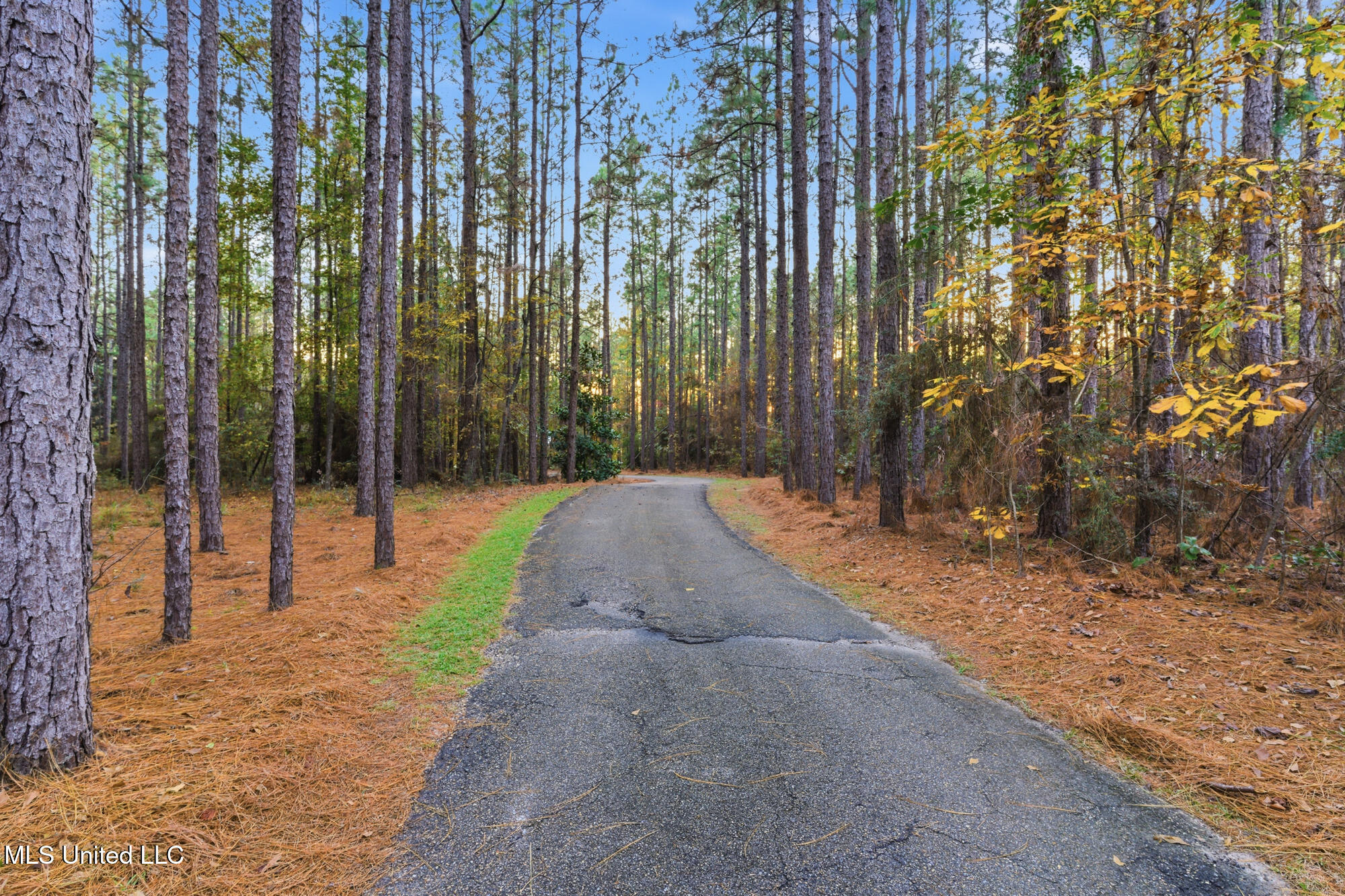 15 Lakeridge Point Property Photo 36