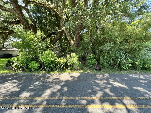 811 Lafayette Avenue Property Photo 3