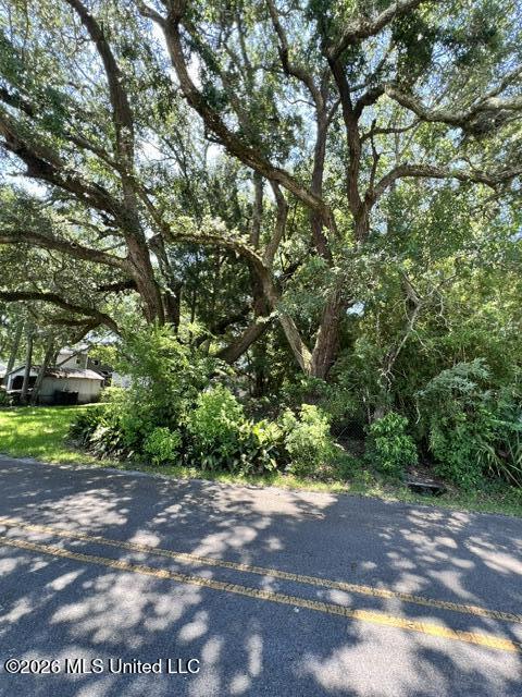 811 Lafayette Avenue Property Photo 4