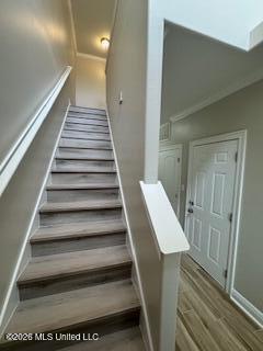 3479 Riverbend Cove Property Photo 41