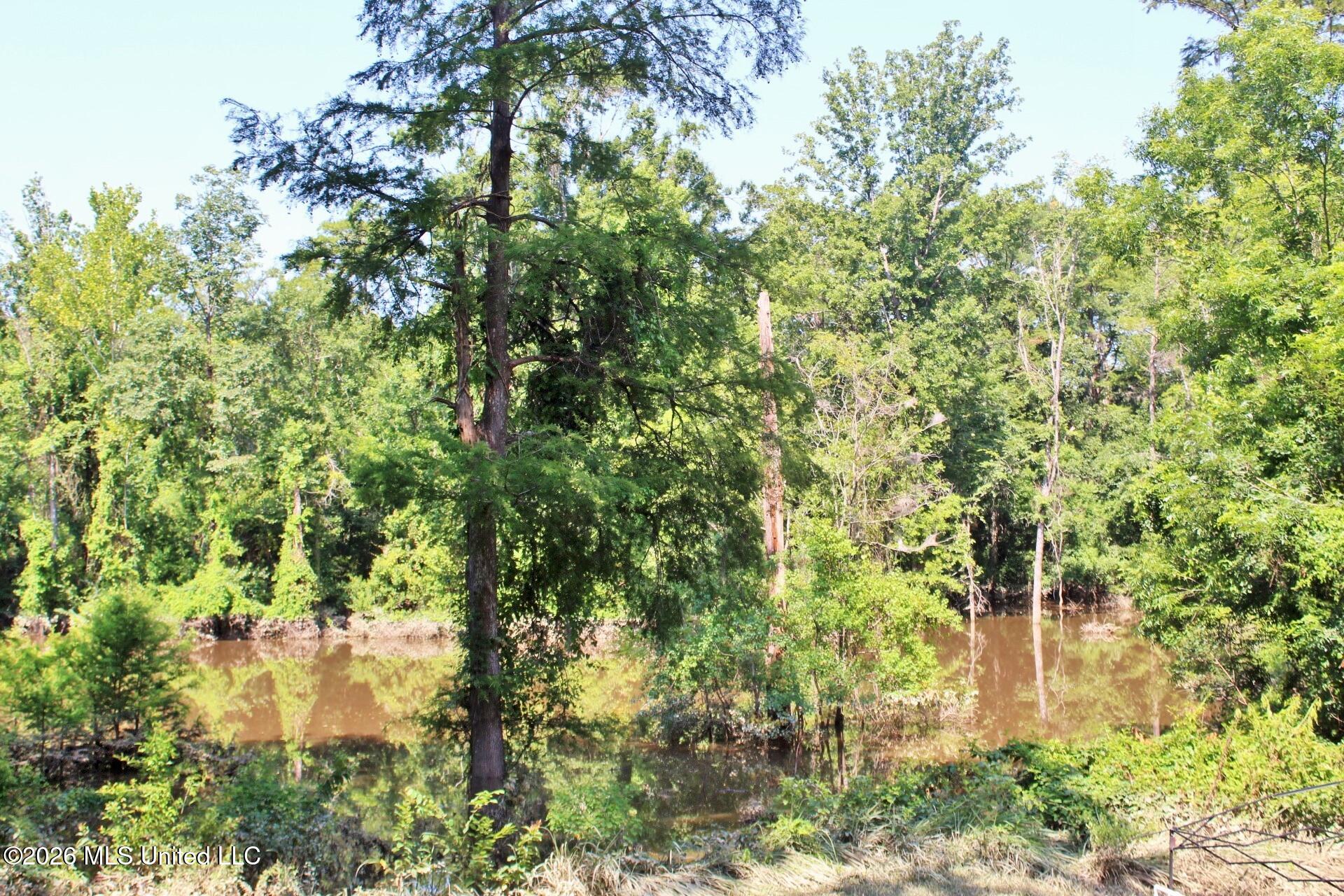 109 Hickory Lane Property Photo 20