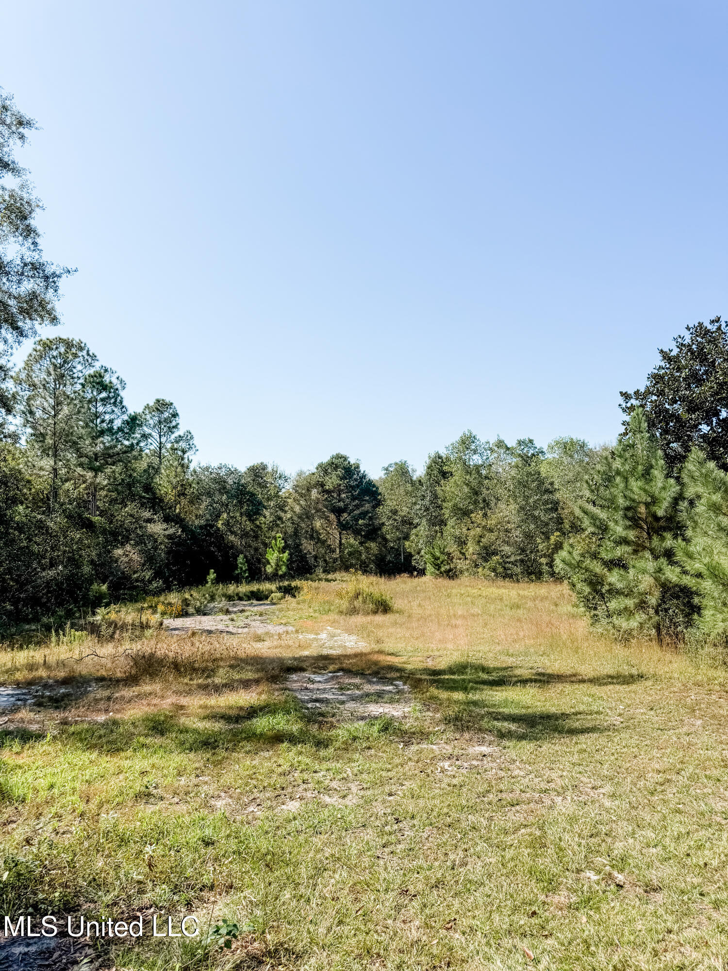 25481 Old Highway 49 Property Photo 6
