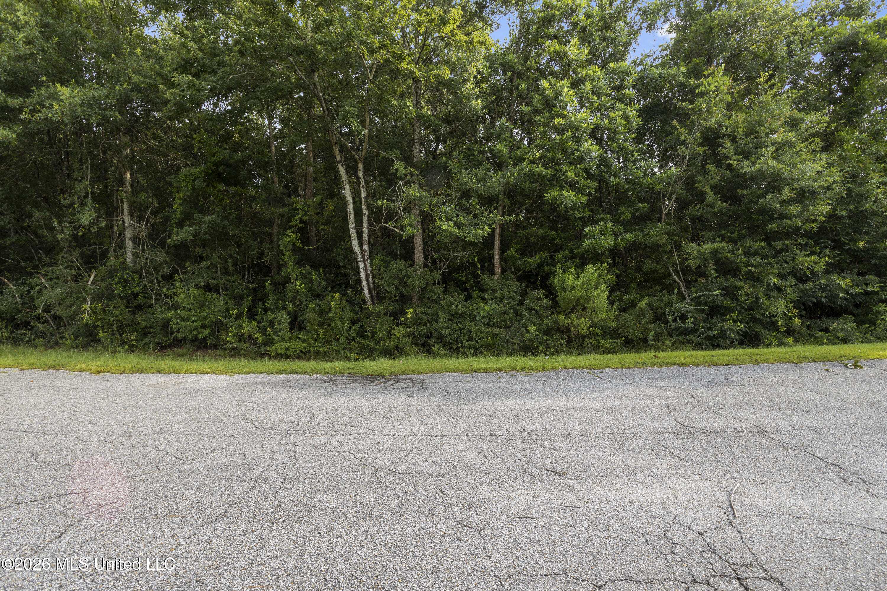 Spring Briar Trail Property Photo 2