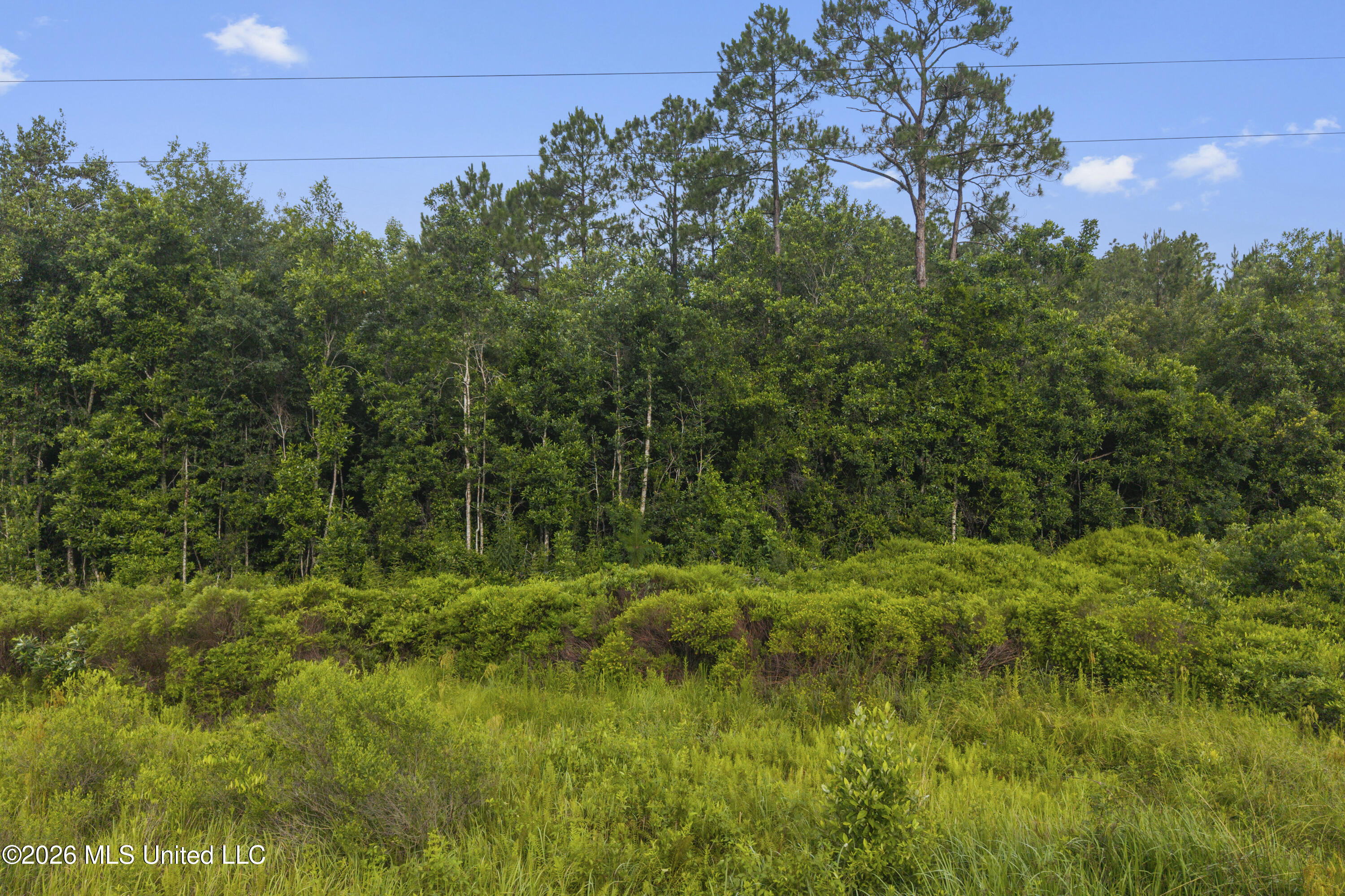 Spring Briar Trail Property Photo 3