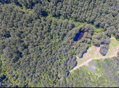 Nell Lambert Road Property Photo 3