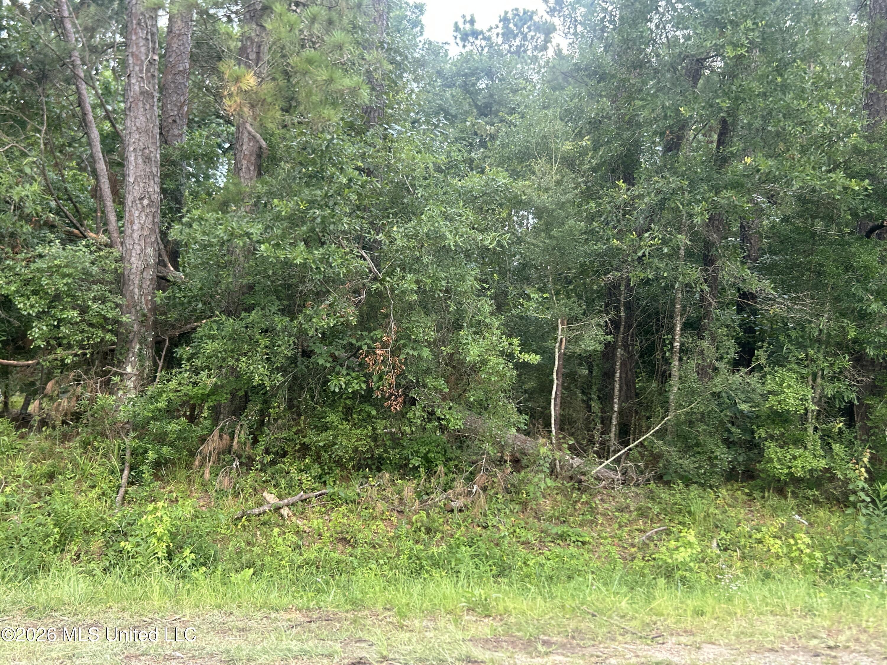 Tbd River Ridge Road Property Photo 1
