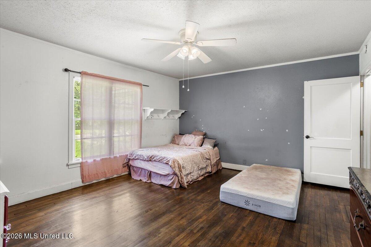 140 Myrtle Street Property Photo 26