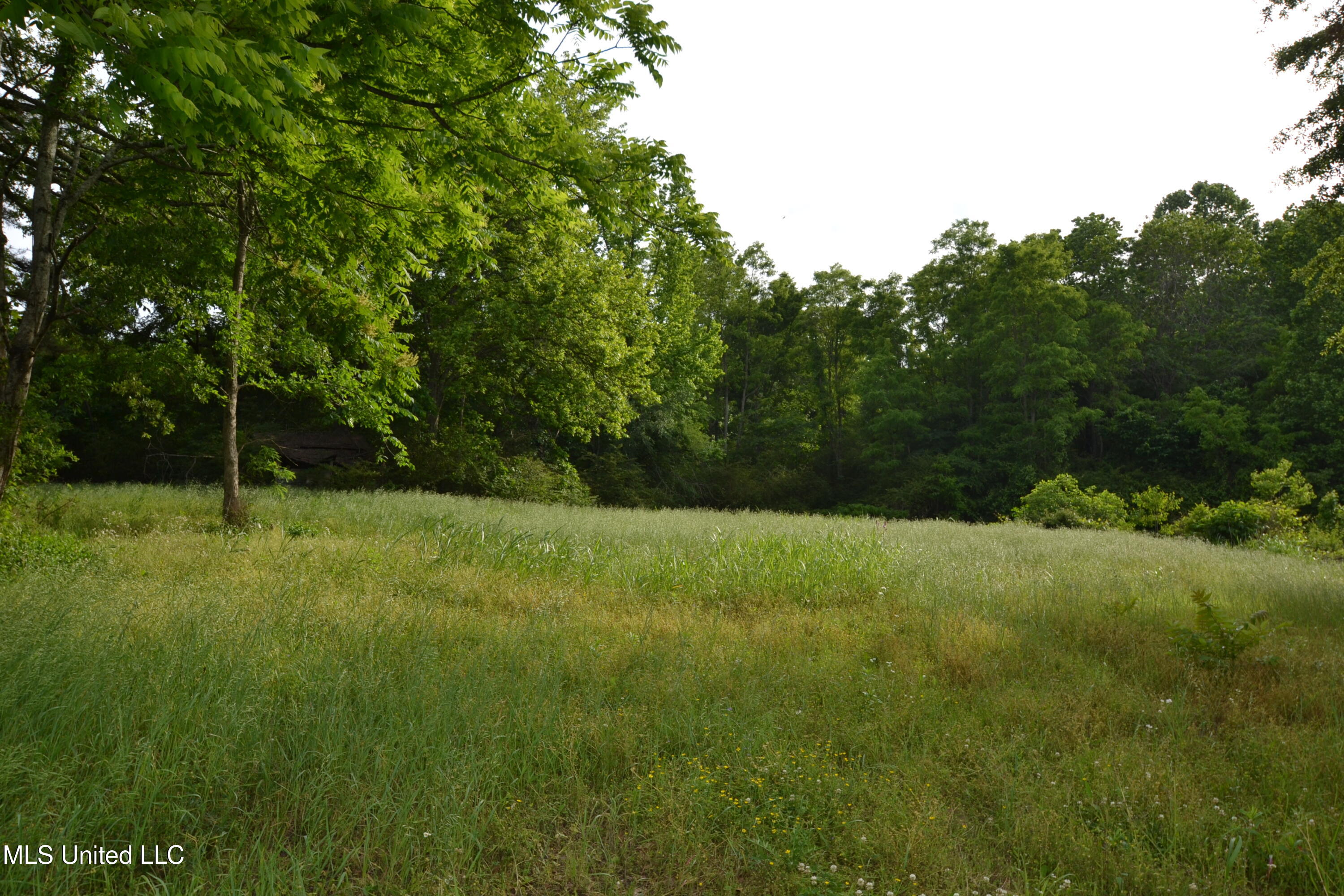 443 Highway 305 N Property Photo 1